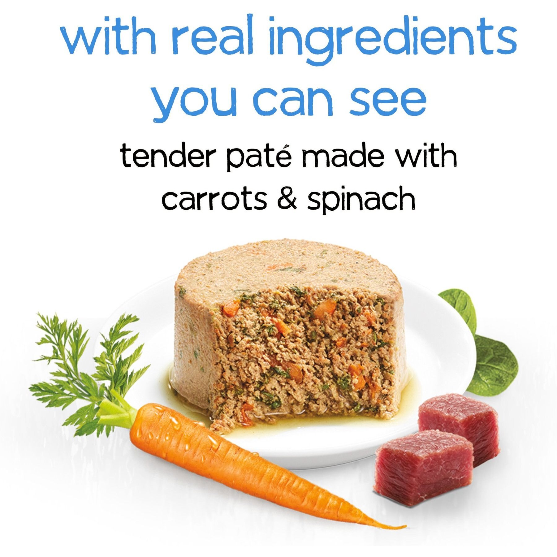 Purina Beneful Infused Pate with Real Lamb, Carrots & Spinach Wet Dog Food
