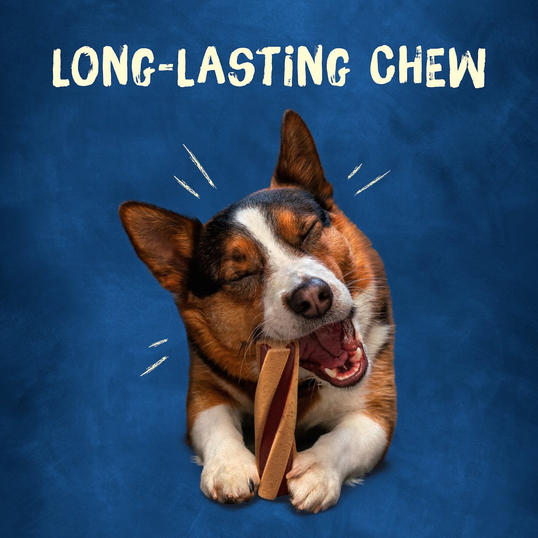 Busy Bone with Beggin' Twist'd! Long-Lasting Small/Medium Dog Treat