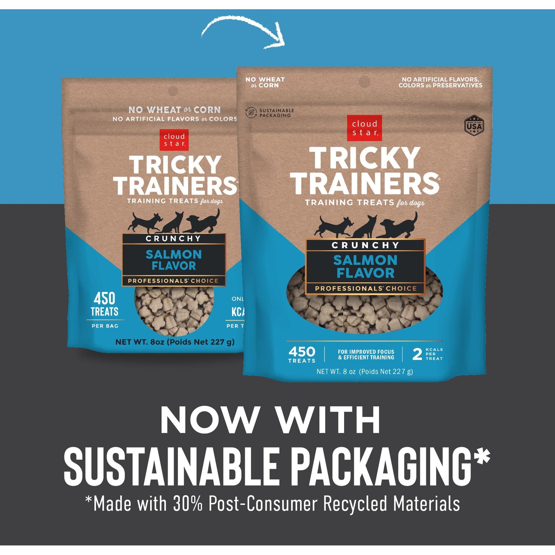 Cloud Star Crunchy Tricky Trainers Salmon Flavor Dog Treats