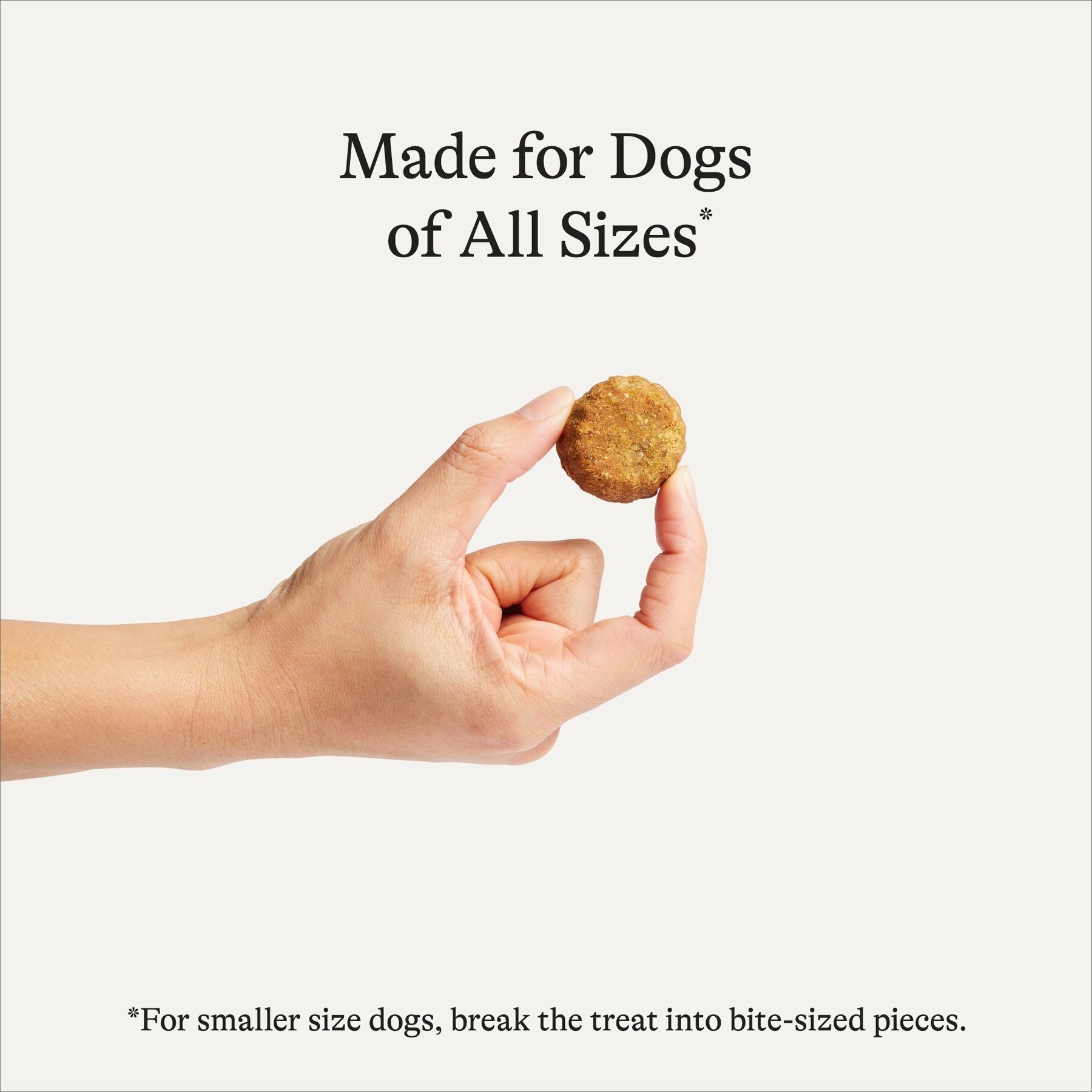 American Journey Chicken Recipe Grain-Free Soft-Baked Dog Treats, 8-oz bag