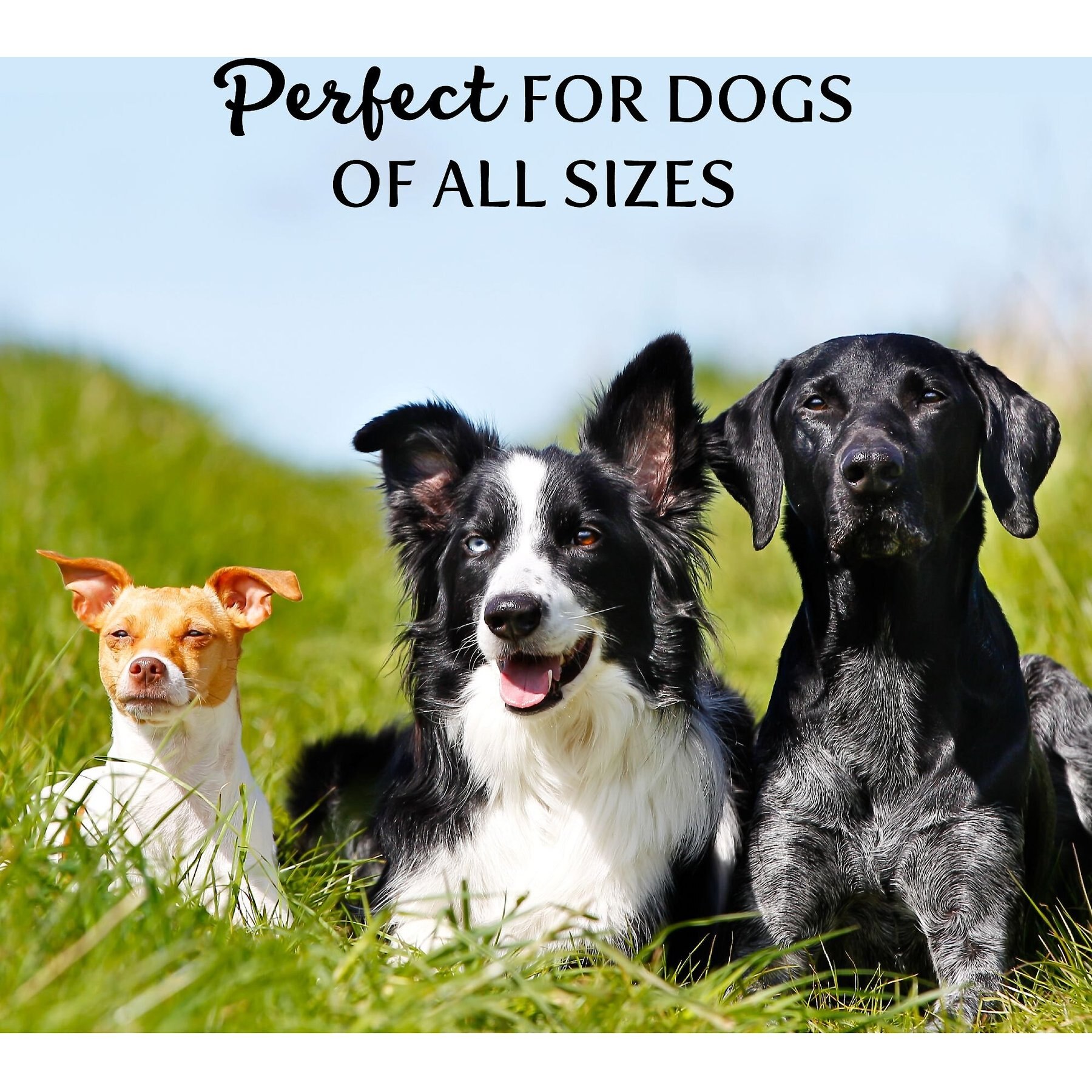 Exclusively Dog Best Buddy Bones Chicken Flavor Dog Treats