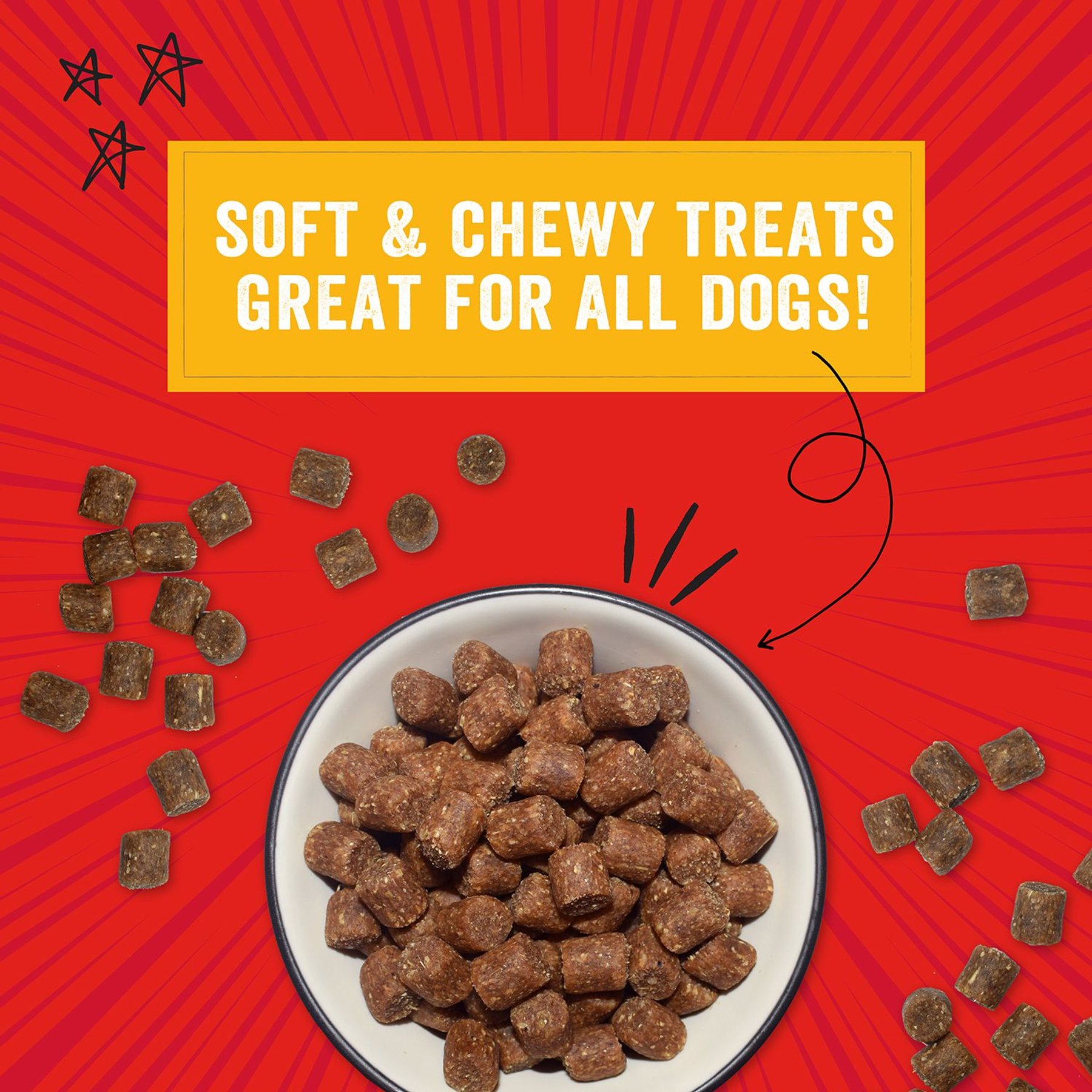 Stella & Chewy's Crav'n Bac'n Bites Bacon & Chicken Recipe Dog Treats