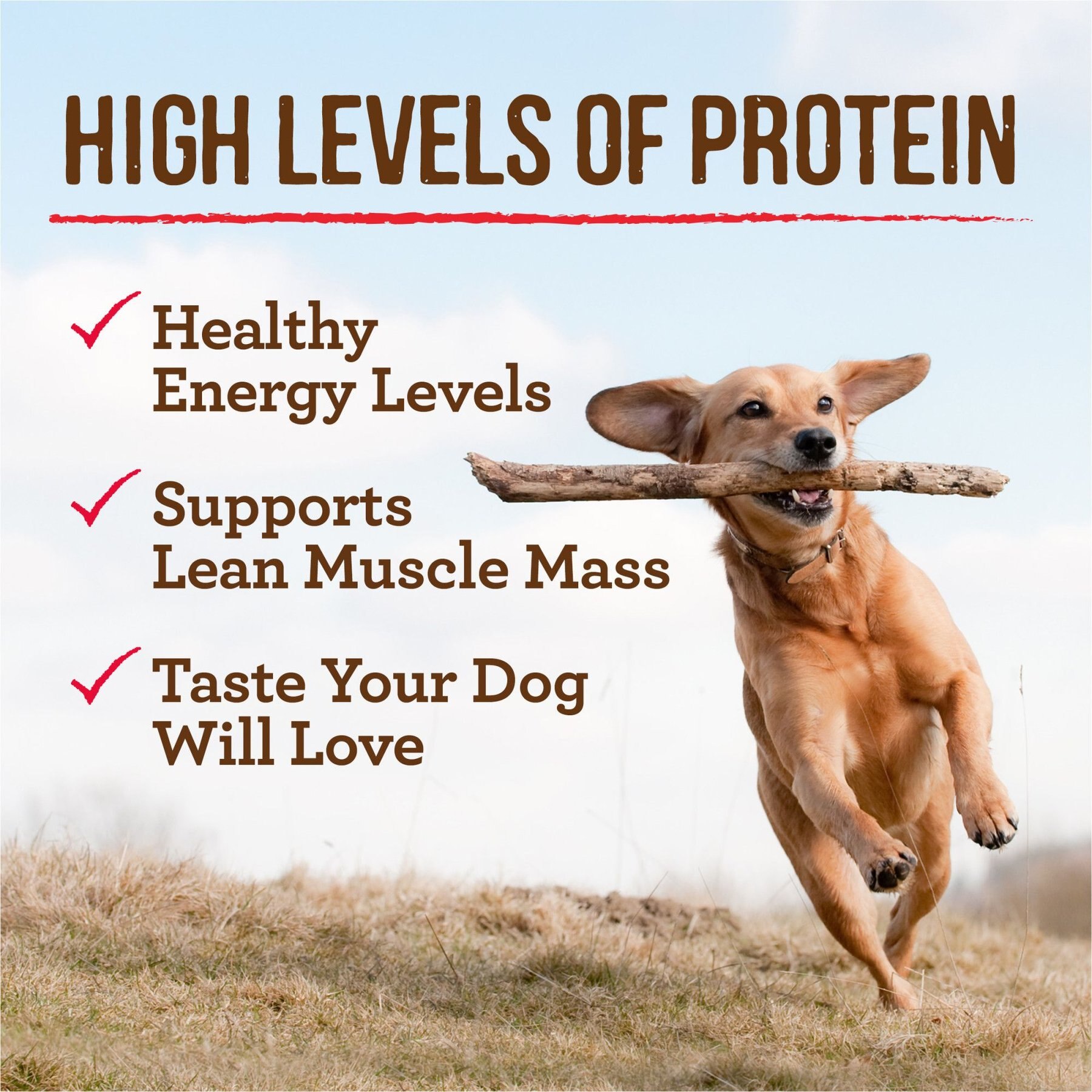 Merrick Grain-Free Wet Dog Food Wilderness Blend