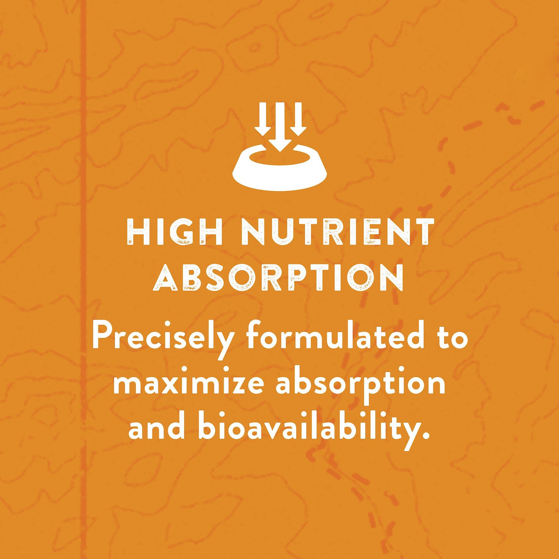 Zuke's Natural Hip & Joint Action Chicken Recipe Dog Treats