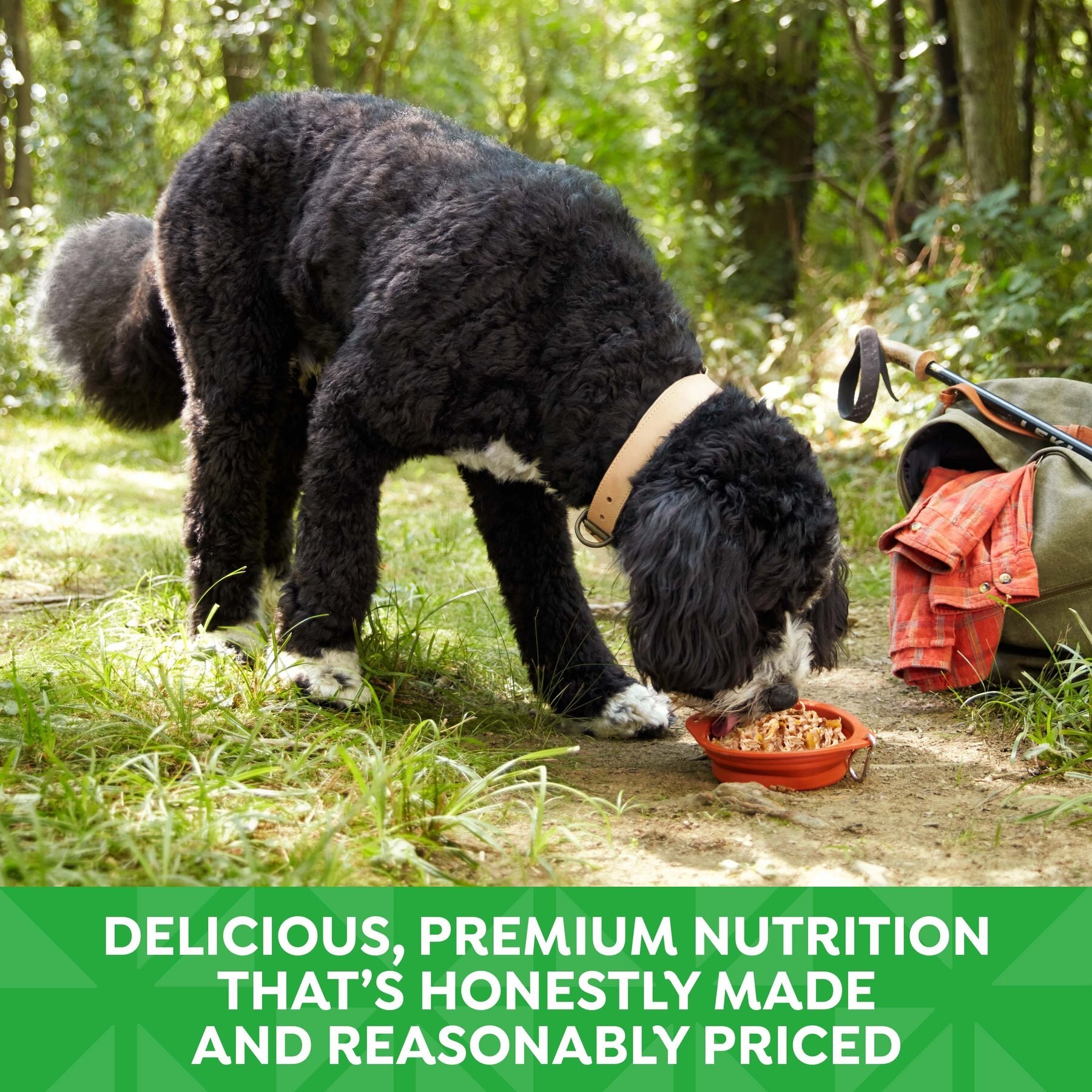 Nature's Recipe Grain-Free Chicken & Duck Recipe in Broth Wet Dog Food