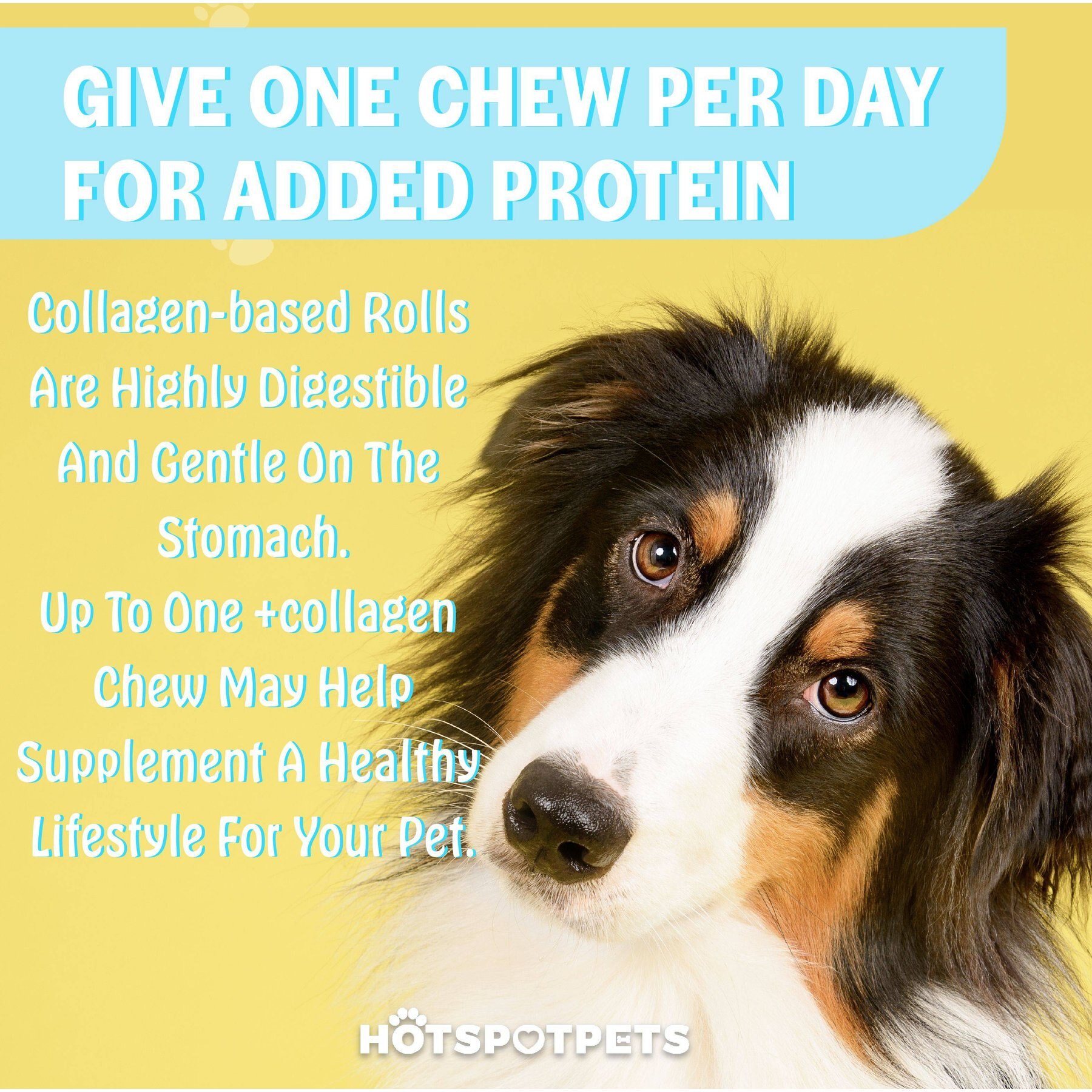 HOTSPOT PETS 6-in Chicken Crunchy Munchy Rolls Dog Treats