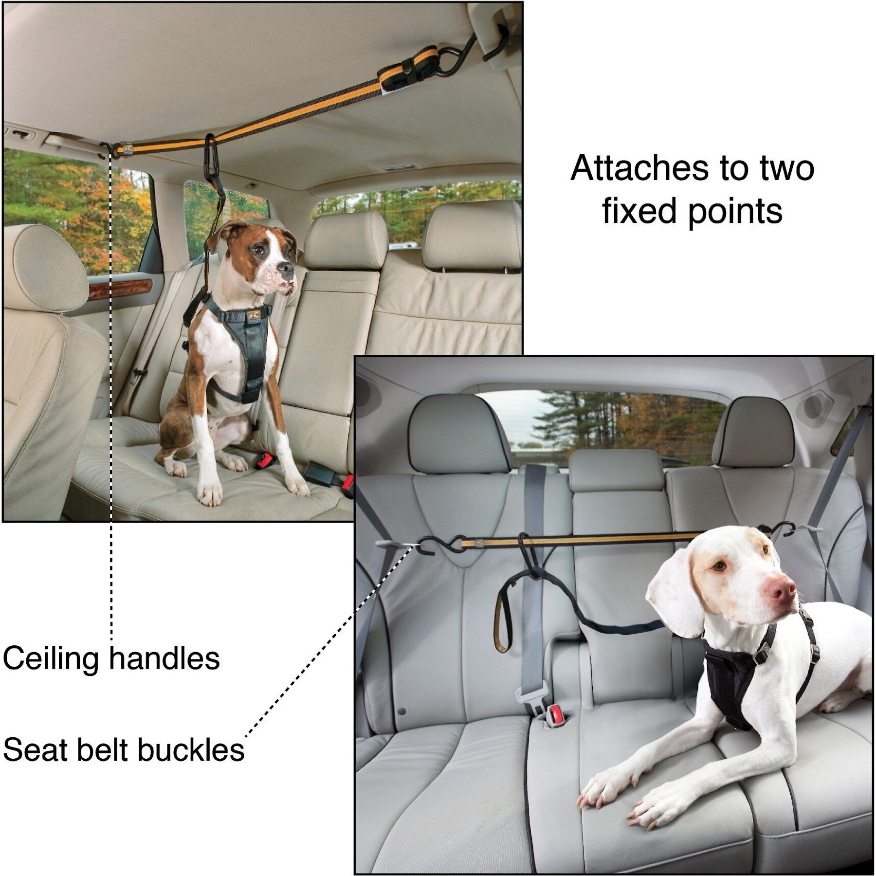 Kurgo Leash/Zipline Combo