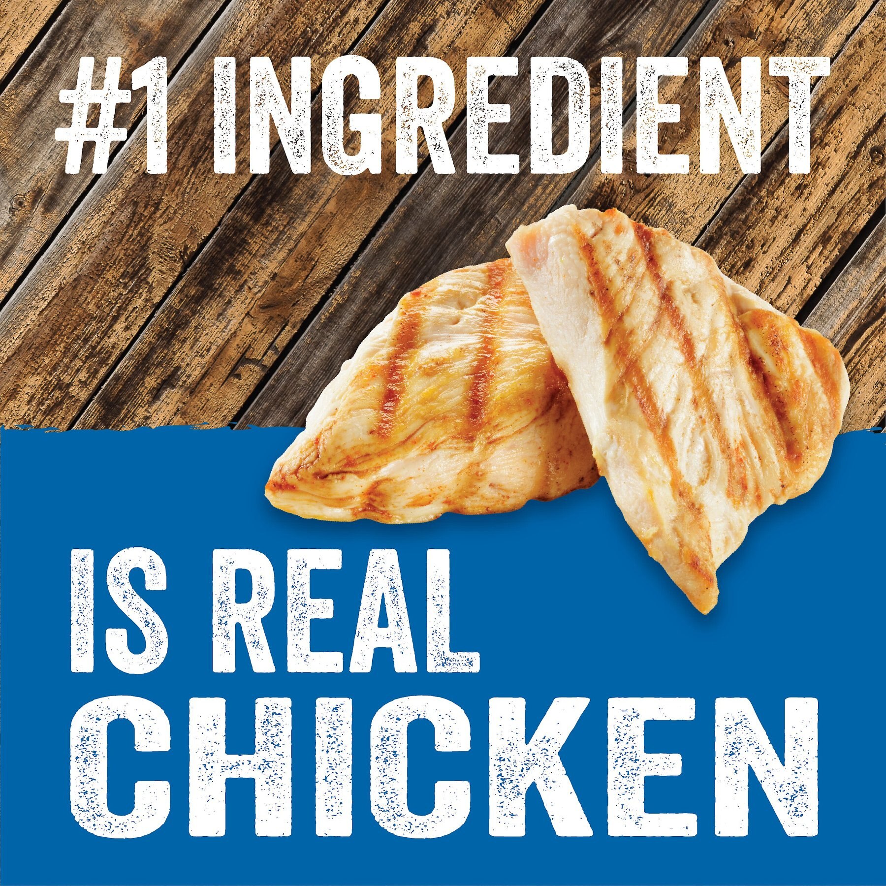Evolve Classic Chicken & Rice Recipe Canned Dog Food