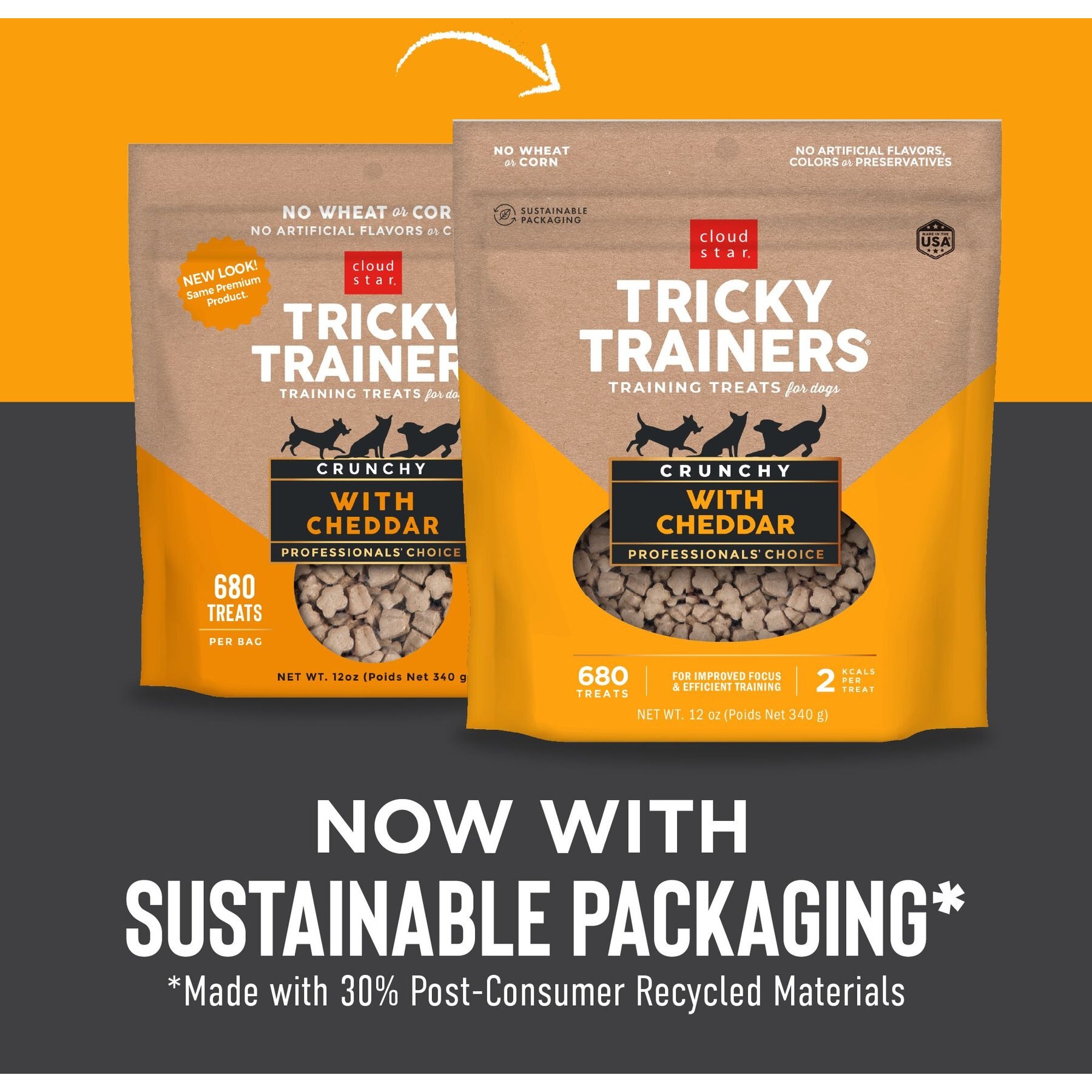 Cloud Star Crunchy Tricky Trainers Cheddar Flavor Dog Treats