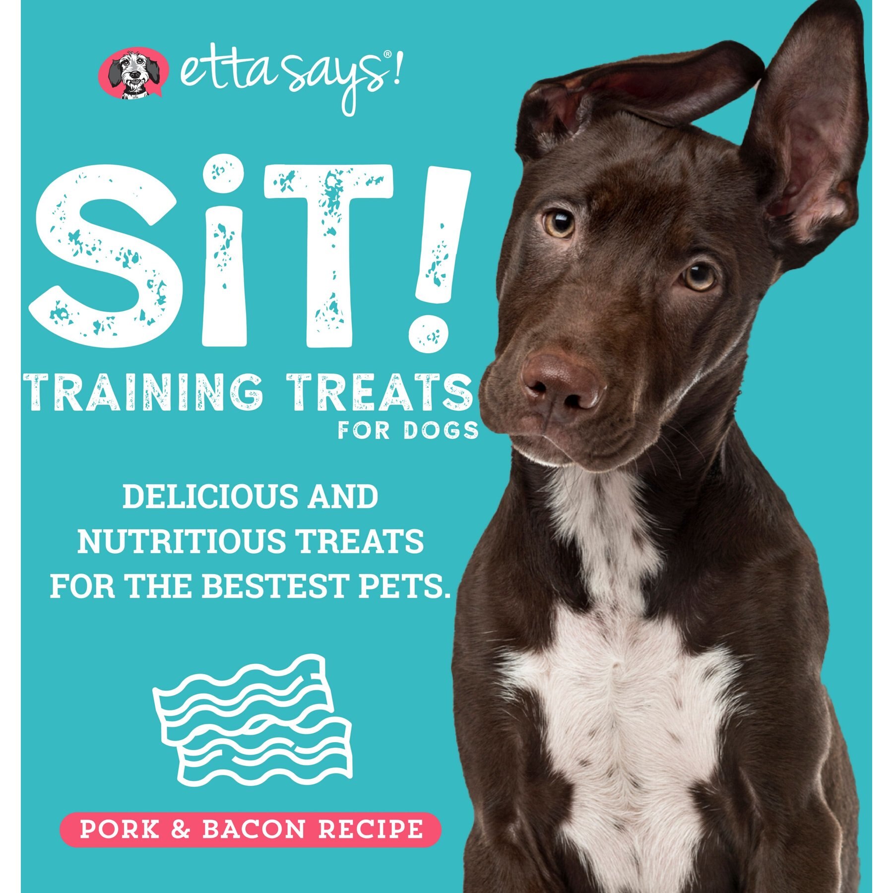 Etta Says! Sit! Bacon Recipe Soft & Chewy Training Dog Treats, 1-lb bag
