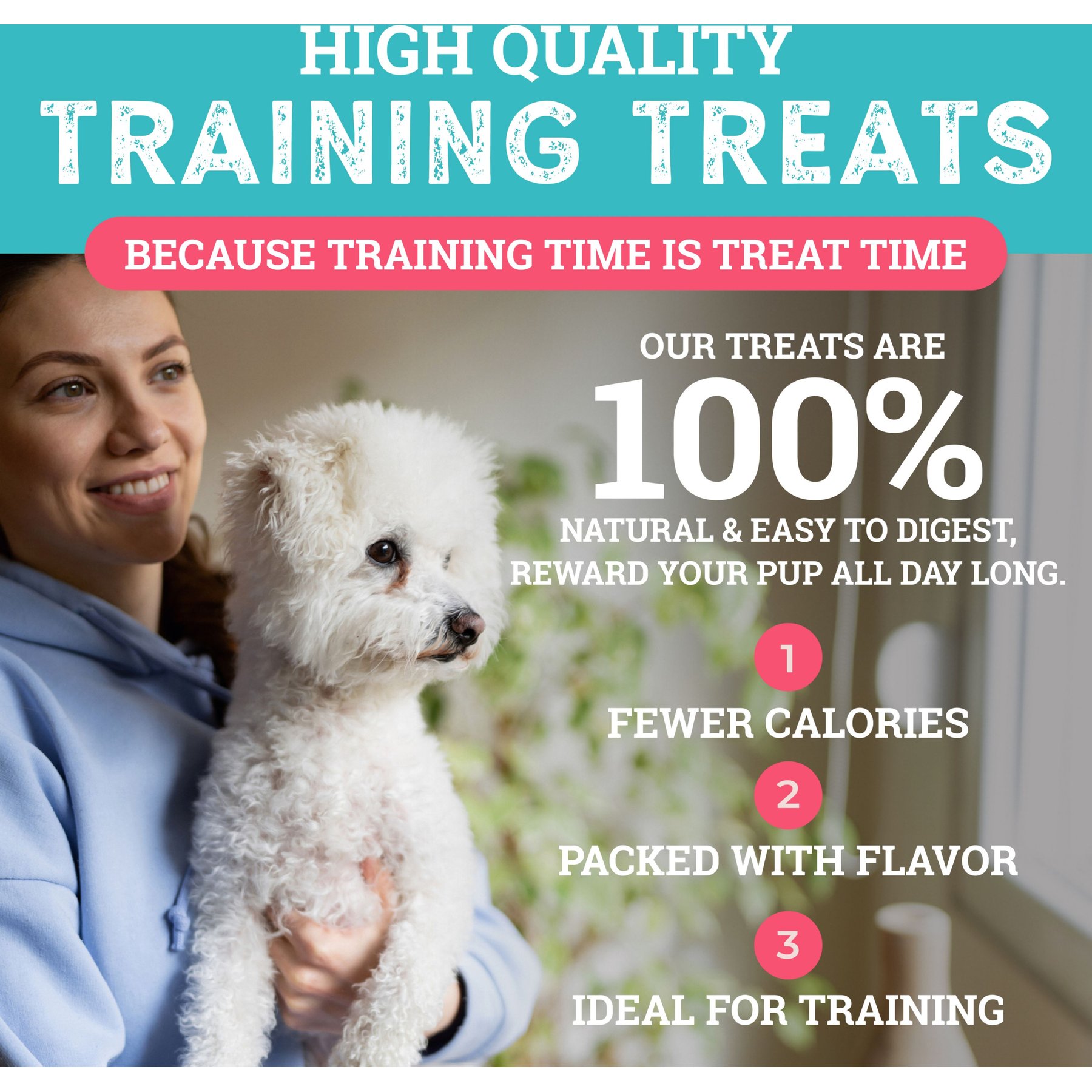 Etta Says! Sit! Bacon Recipe Soft & Chewy Training Dog Treats, 1-lb bag