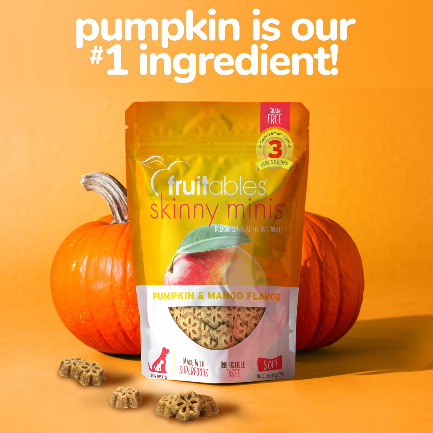 Fruitables Skinny Minis Pumpkin & Mango Flavor Soft & Chewy Dog Treats