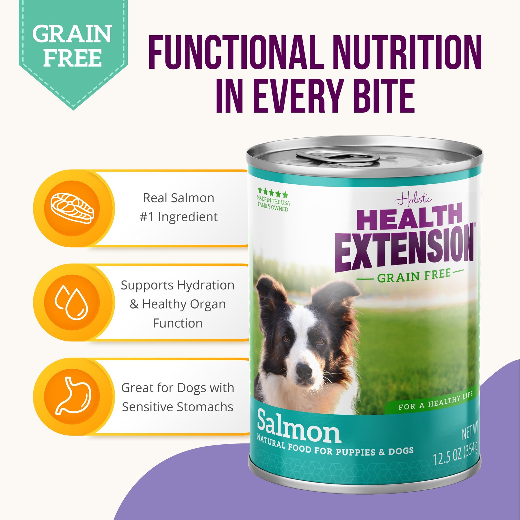 Health Extension Grain-Free Salmon Entree Canned Dog Food