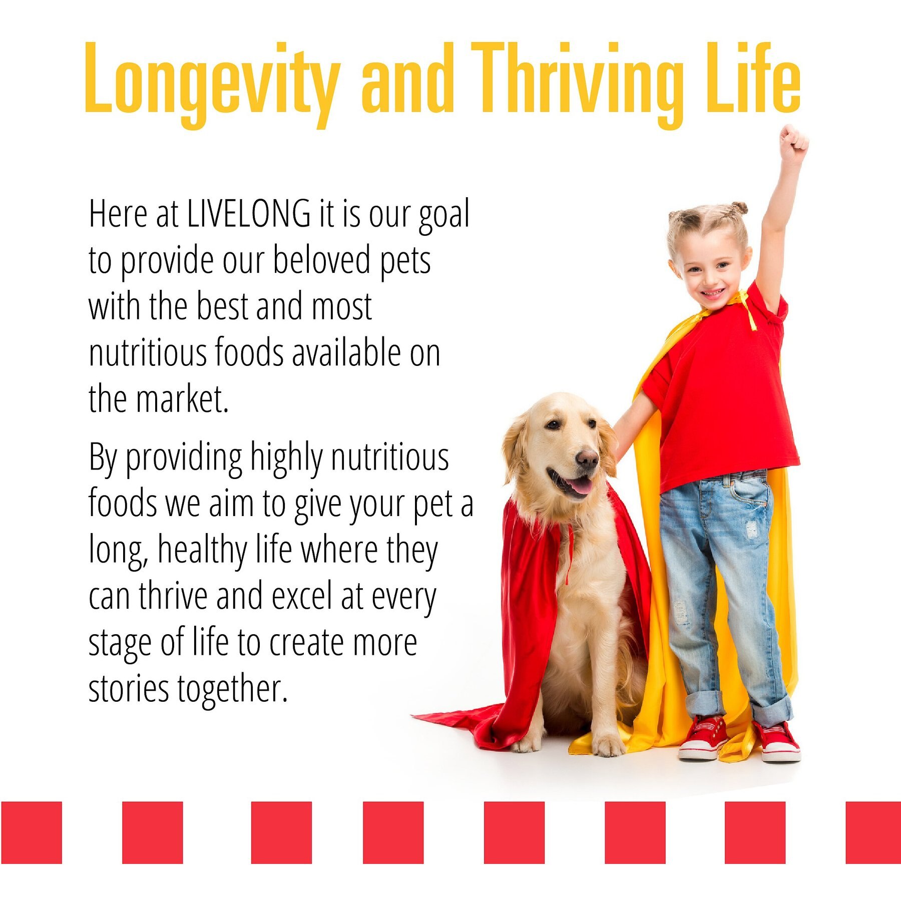 Livelong Healthy & Strong Duck & Sweet Potato Recipe Wet Dog Food, 12.5-oz can, case of 12