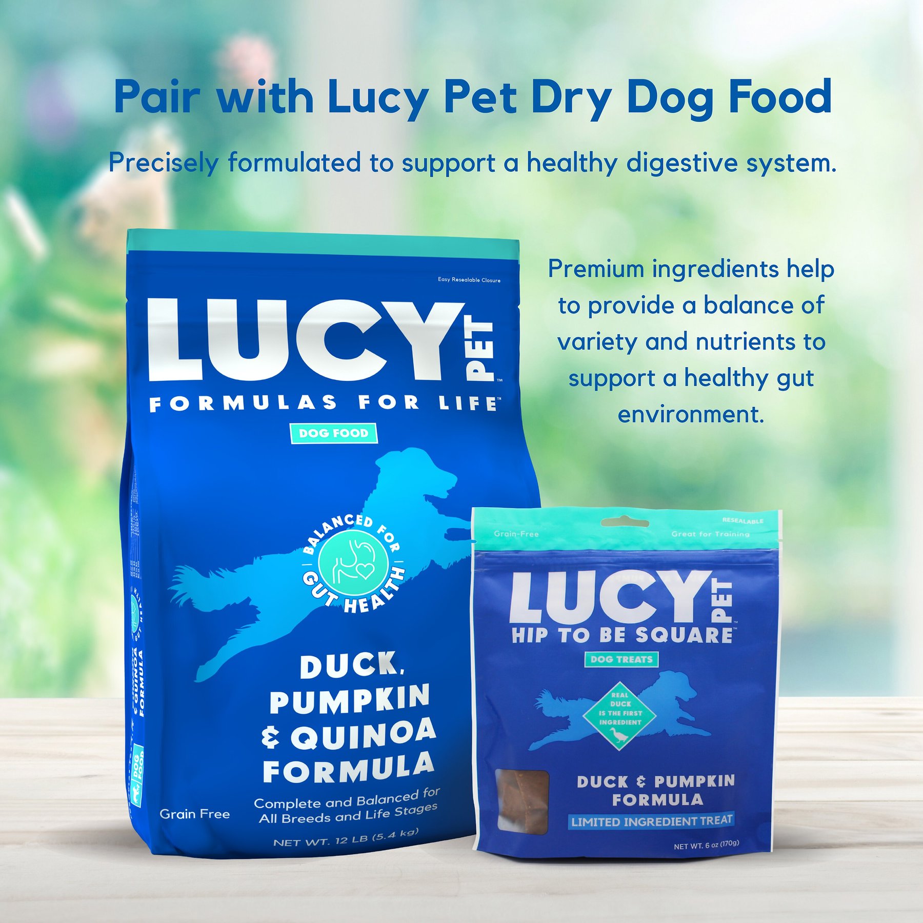 Lucy Pet Products Hip To Be Square Duck & Pumpkin Formula Grain-Free Dog Treats