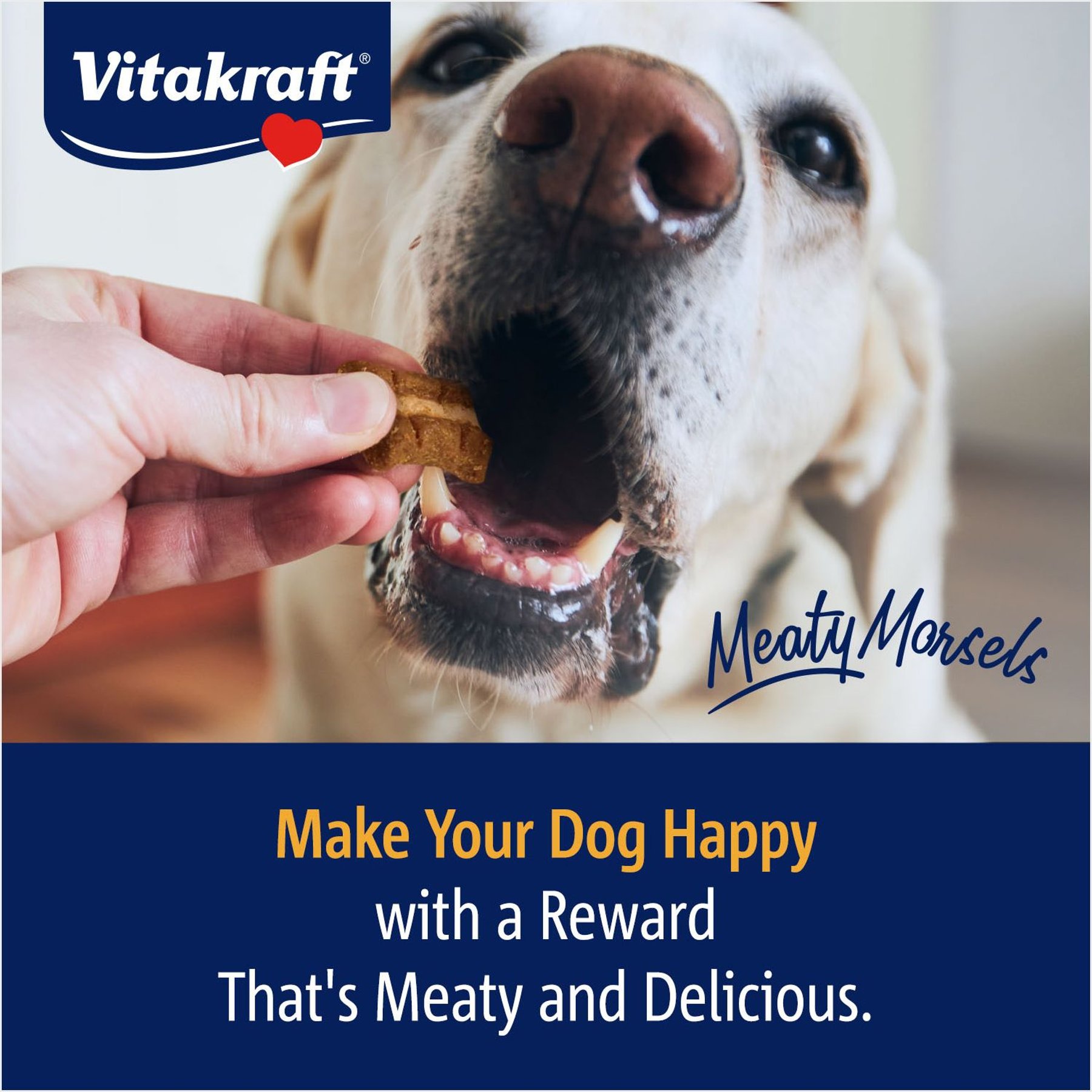 Vitakraft Meaty Morsels Chicken Recipe with Potato Soft & Chewy Dog Treats, 4.2-oz bag, 3 count