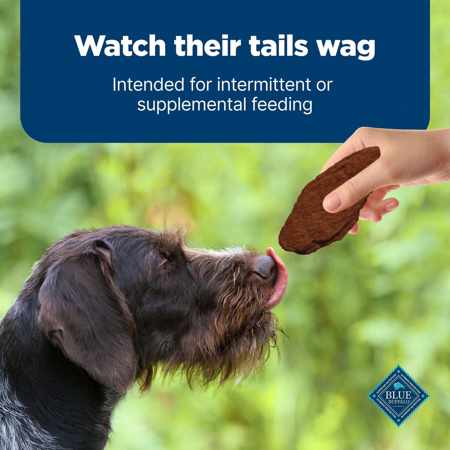 Blue Buffalo Nudges Jerky Cuts Beef Dog Treats