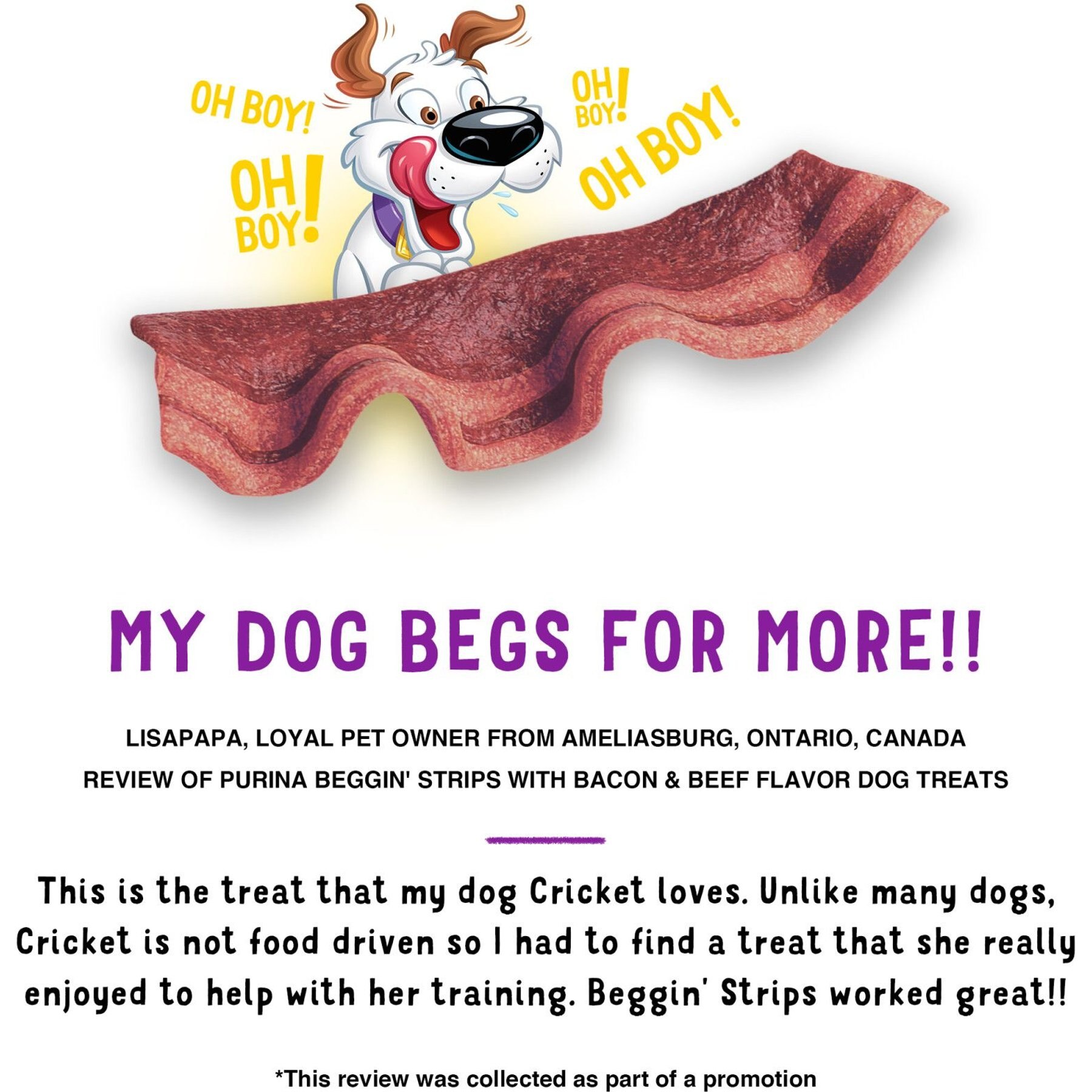 Beggin' Strips Real Meat with Bacon & Beef Flavored Dog Treats