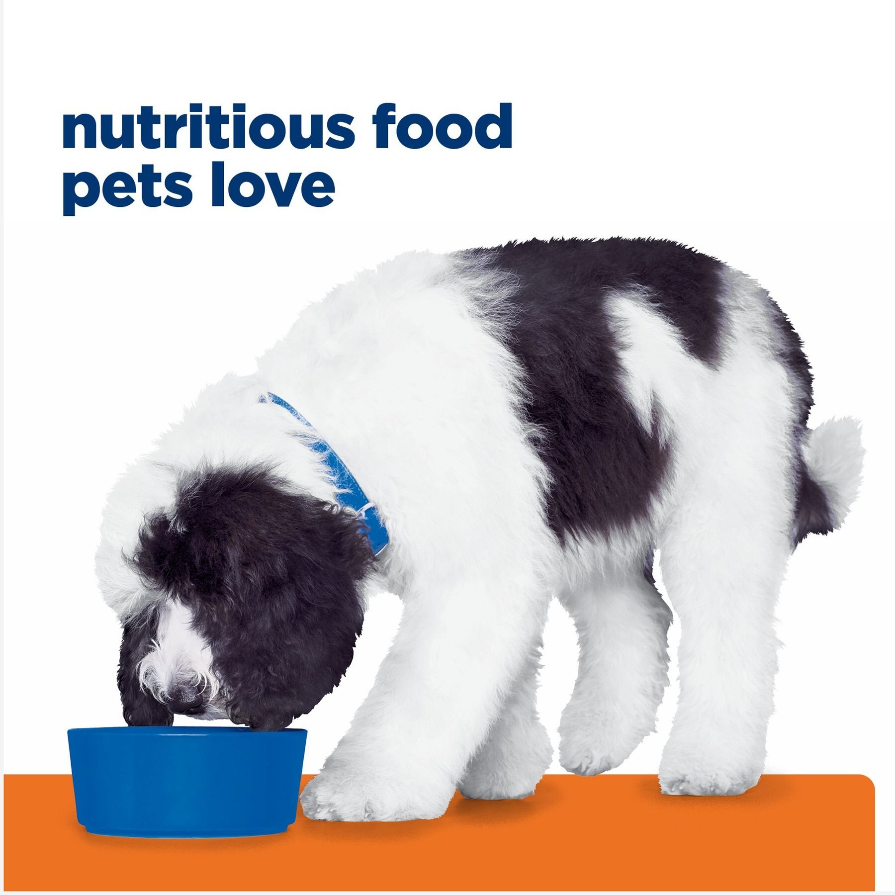 Hill's Prescription Diet c/d Multicare Urinary Care Chicken & Vegetable Stew Canned Dog Food