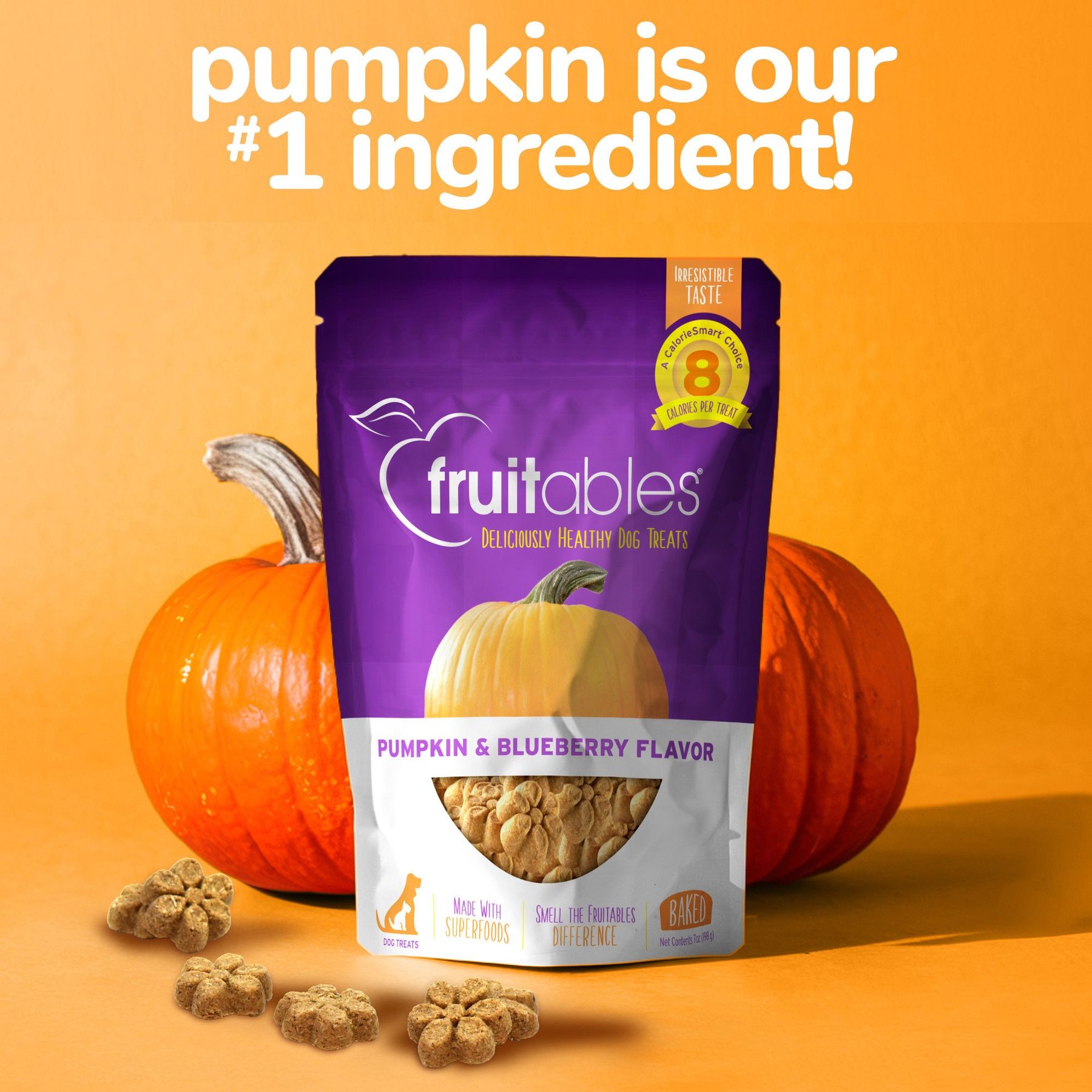 Fruitables Pumpkin & Blueberry Flavor Dog Treats