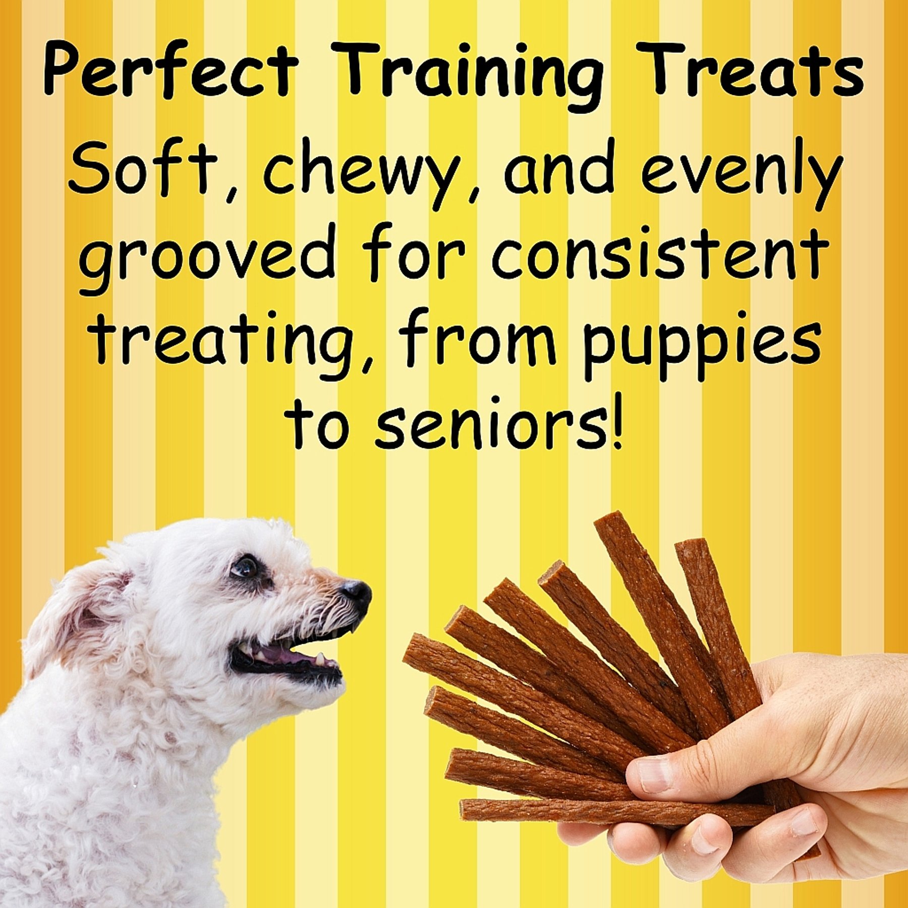 Fast Pet Food Fetch Fries Chicken & Sweet Potato Dog Treats