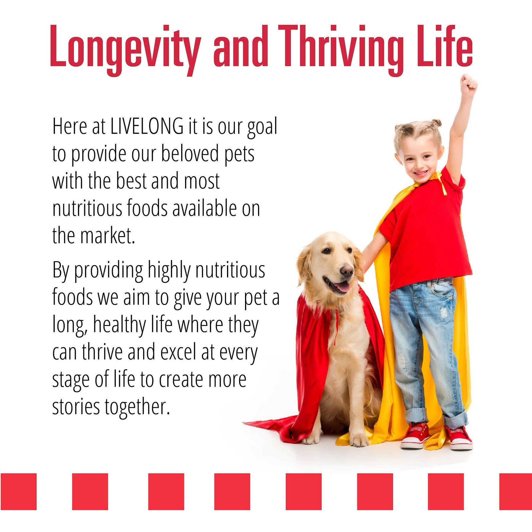 Livelong Healthy & Strong Lamb, Beef & Sweet Potato Recipe Wet Dog Food, 12.5-oz can, case of 12