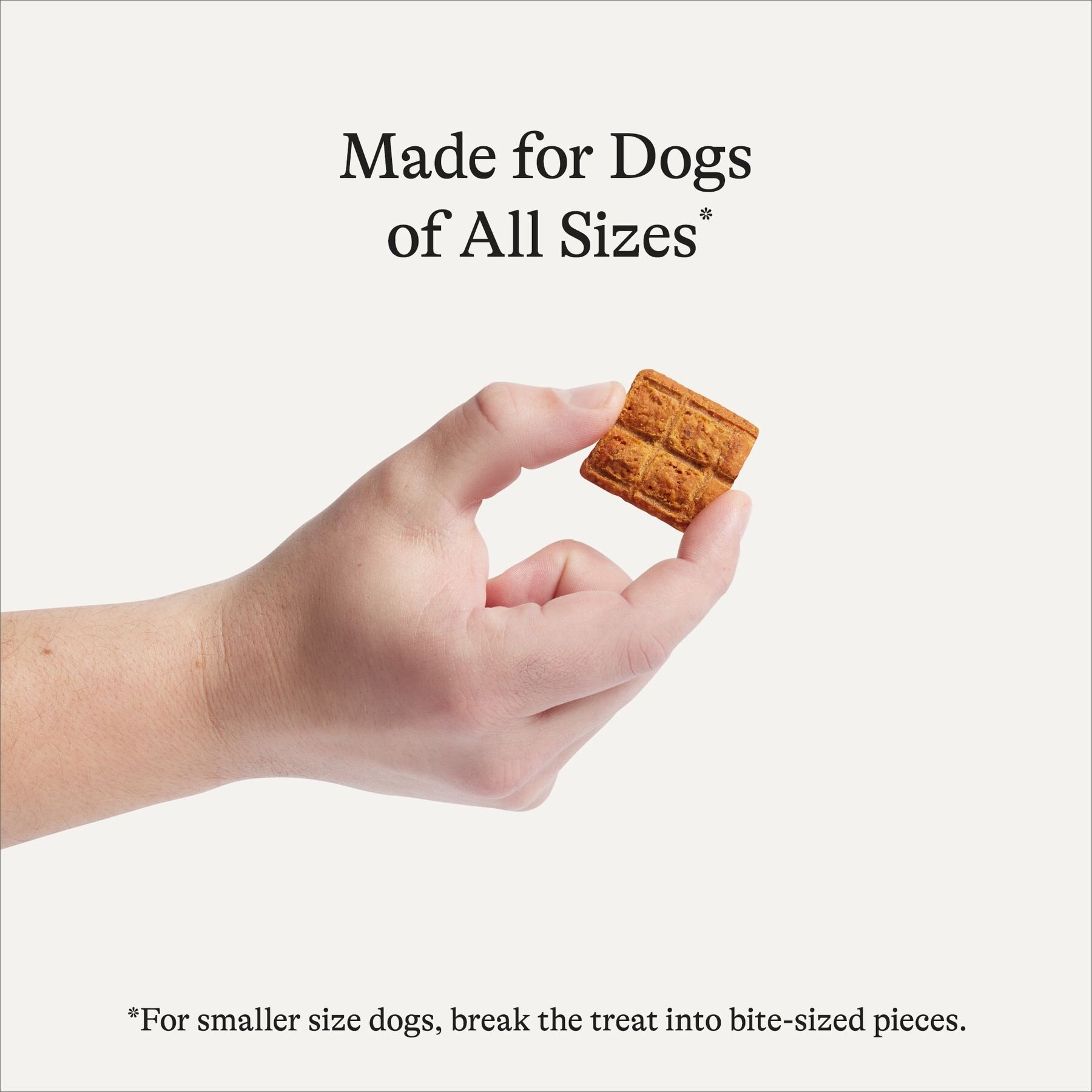 American Journey Chicken Recipe Trail Bites Grain-Free Soft & Chewy Dog Treats, 8-oz bag