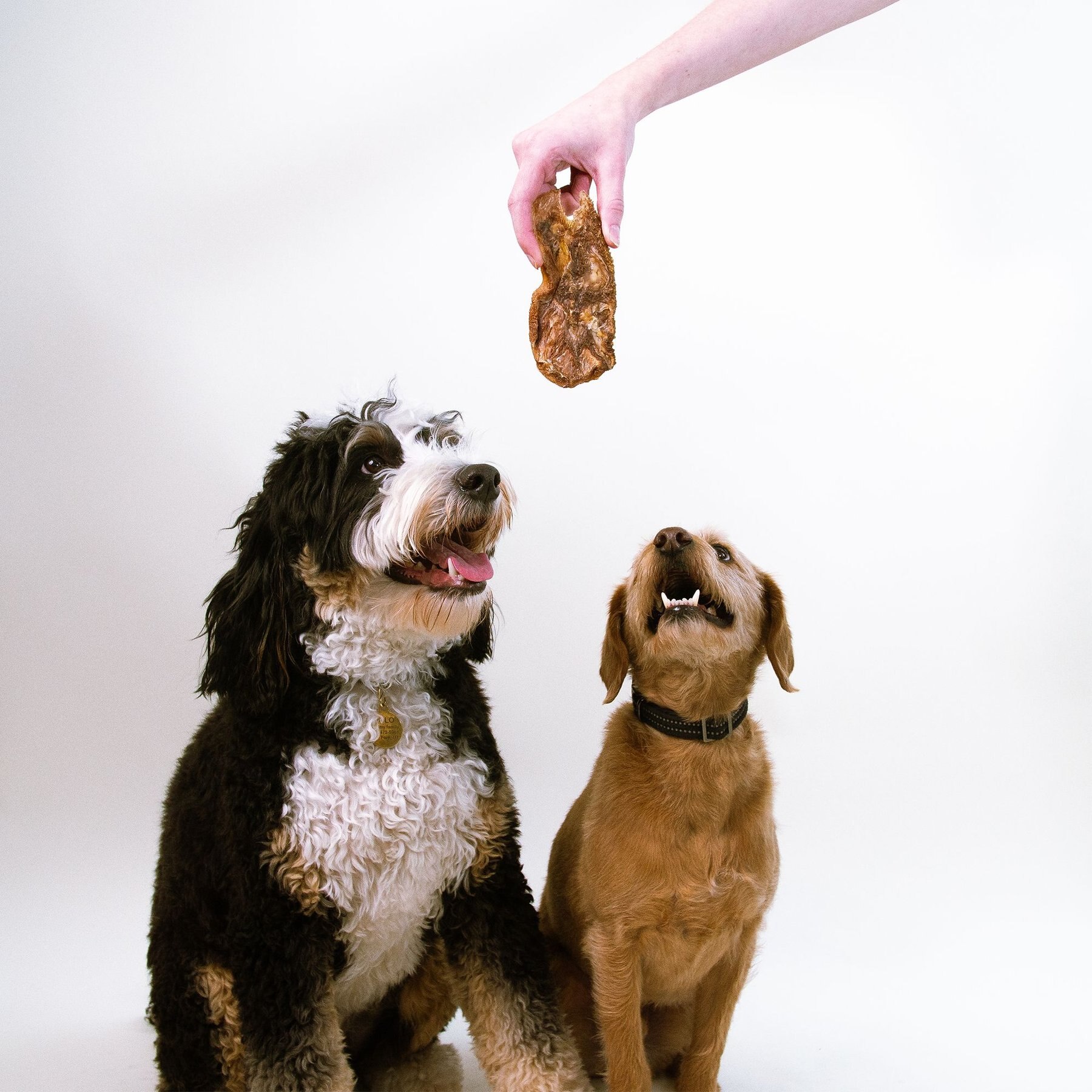 Pupford Lamb High-Protein Jerky Dog Treats