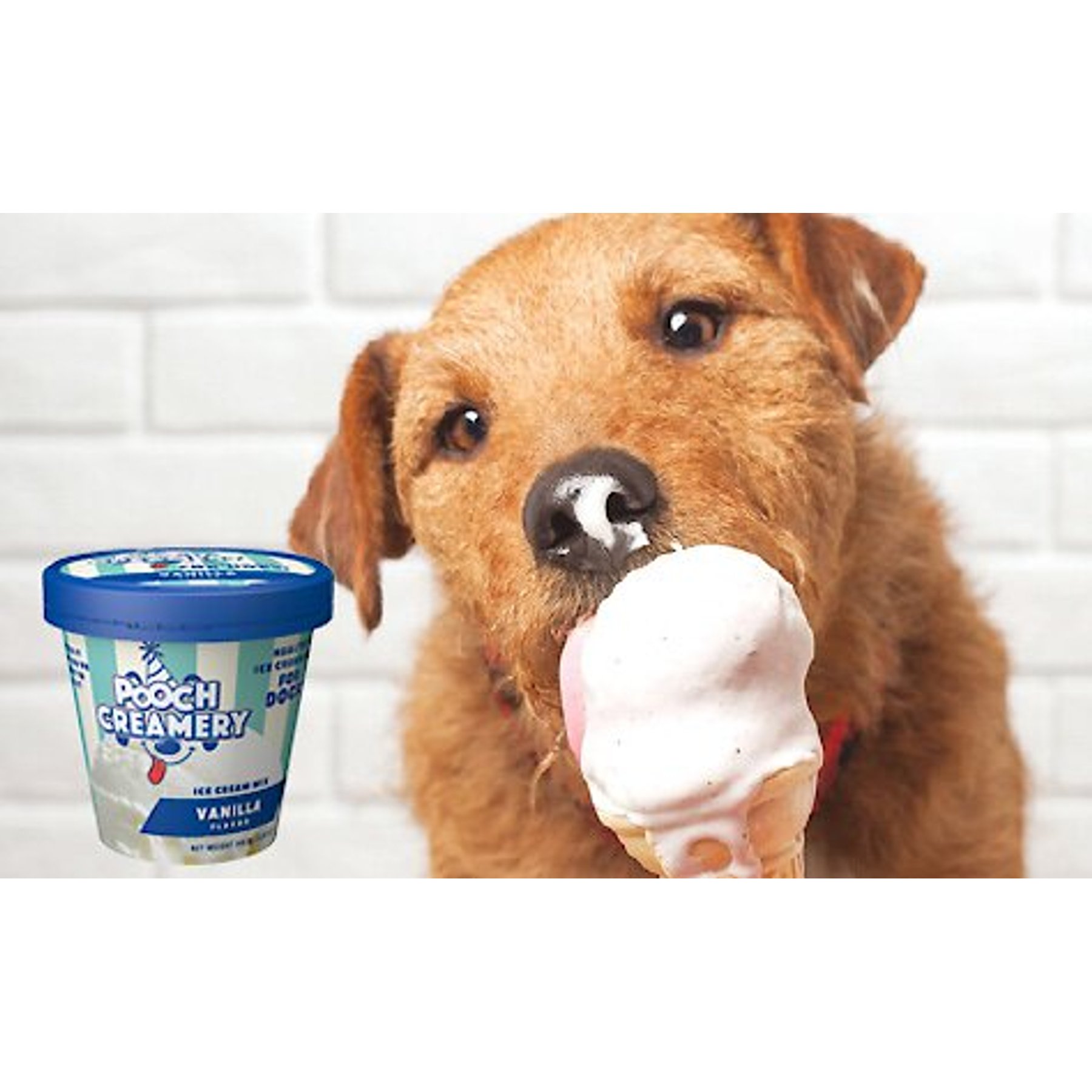Pooch Creamery Vanilla Flavor Ice Cream Mix Dog Treat