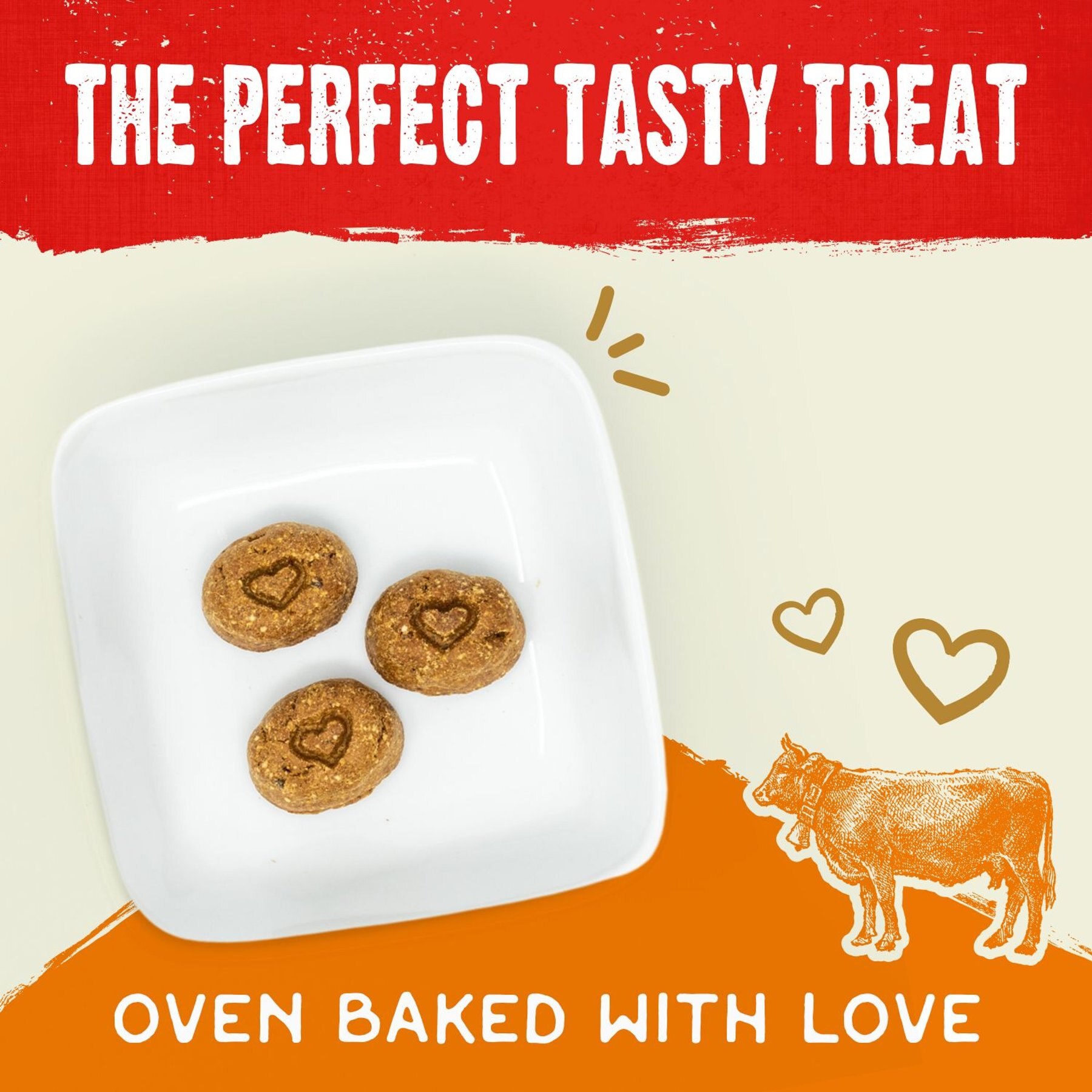 Stella & Chewy's Raw Coated Biscuits Grass-Fed Beef Recipe Freeze-Dried Grain-Free Dog Treats, 9-oz bag