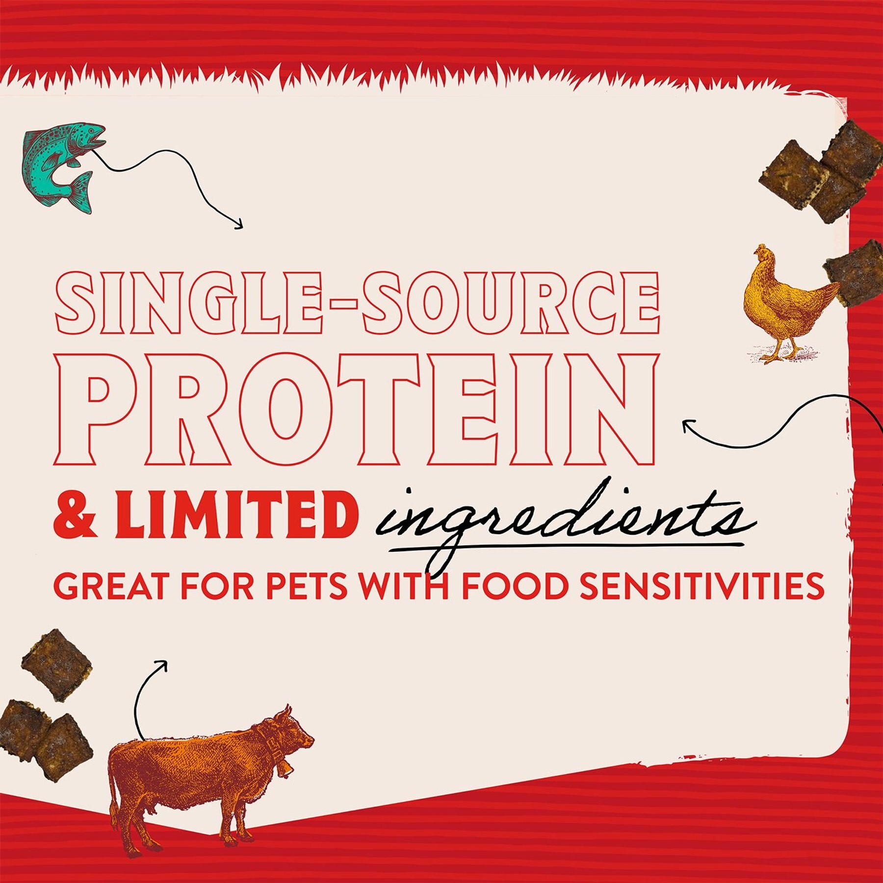 Stella & Chewy's Just Jerky Bites Real Chicken Recipe Grain-Free Dog Treats