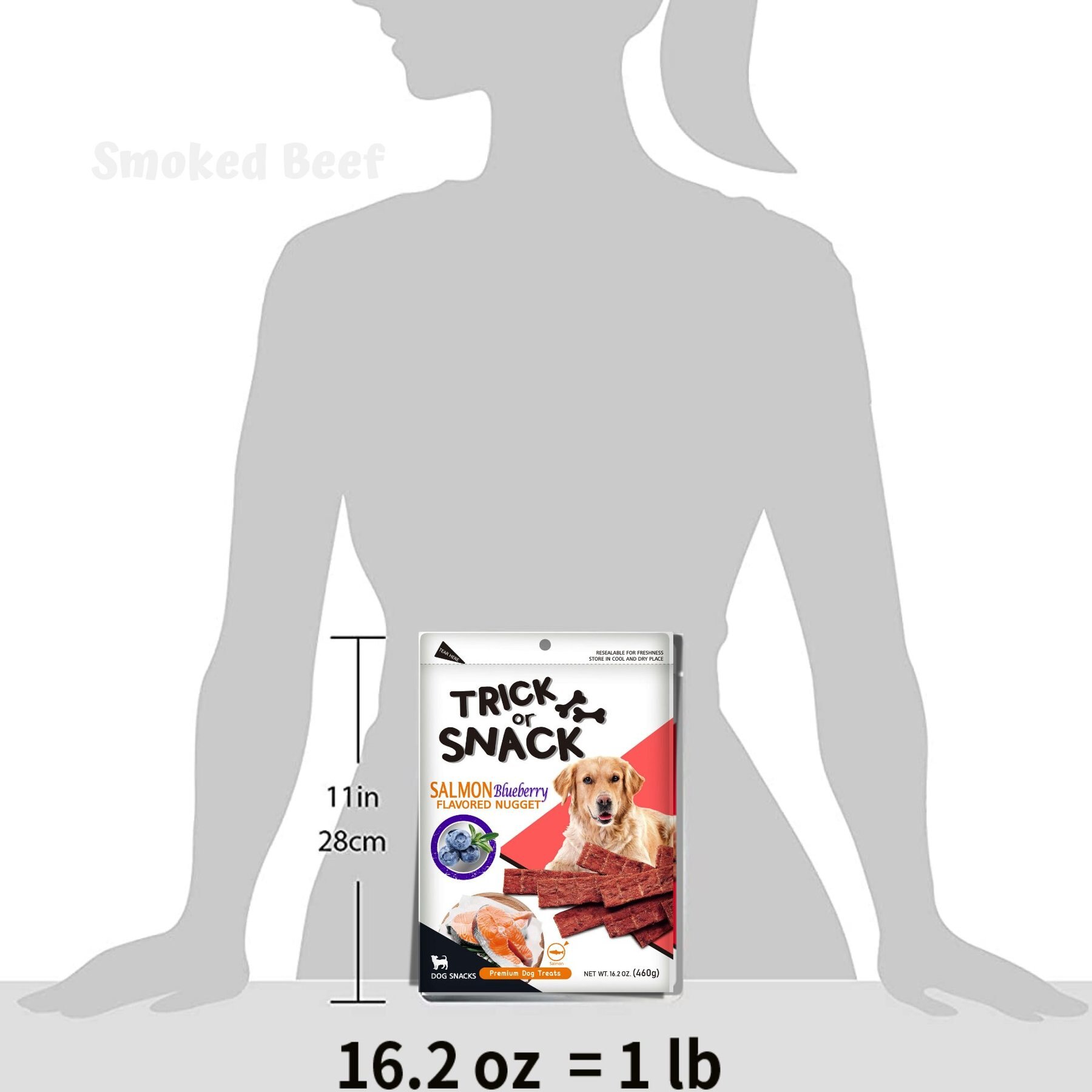 Trick or Snack Salmon & Blueberry Flavored Nugget Dog Treats, 1-lb bag