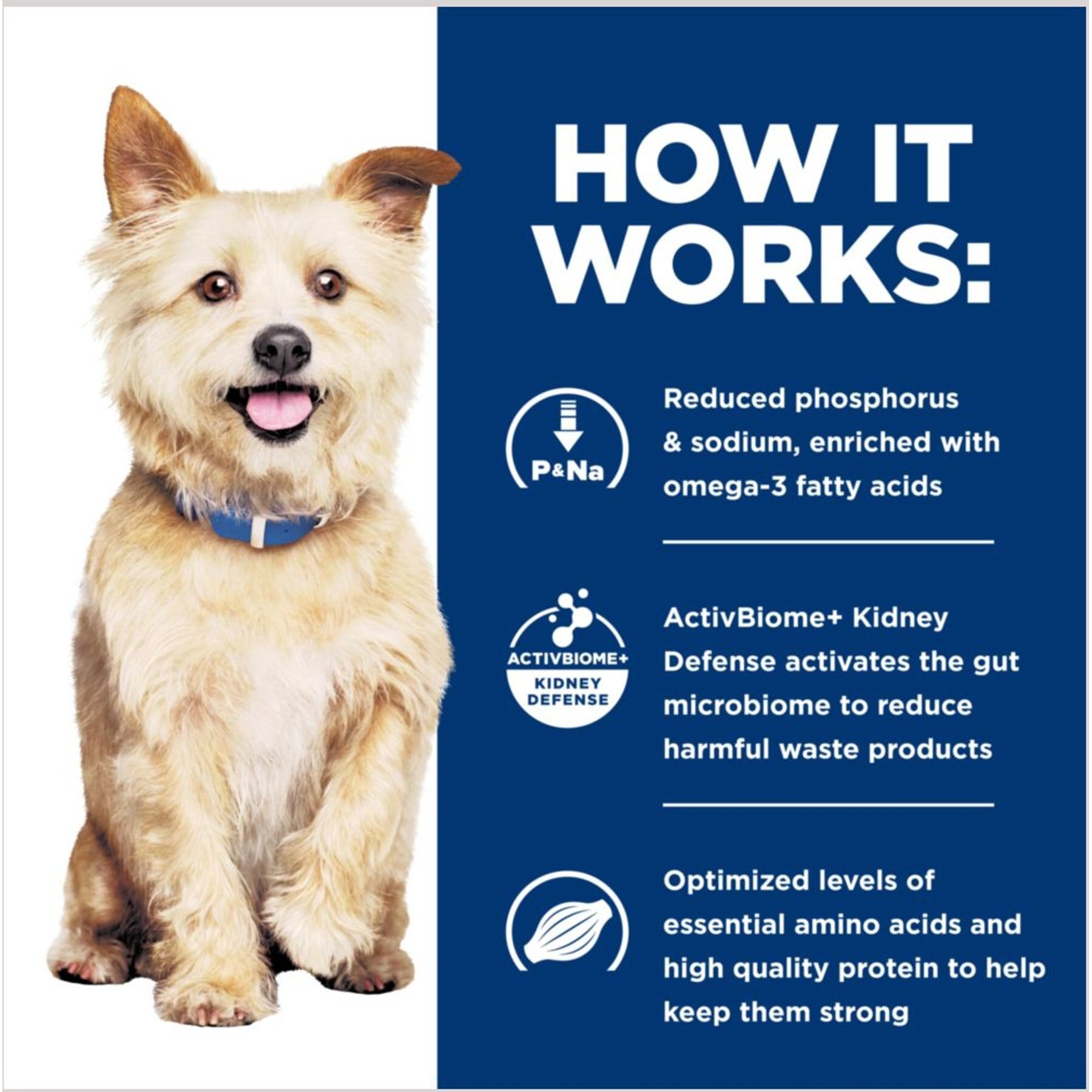 Hill's Prescription Diet k/d Kidney Care with Chicken Wet Dog Food