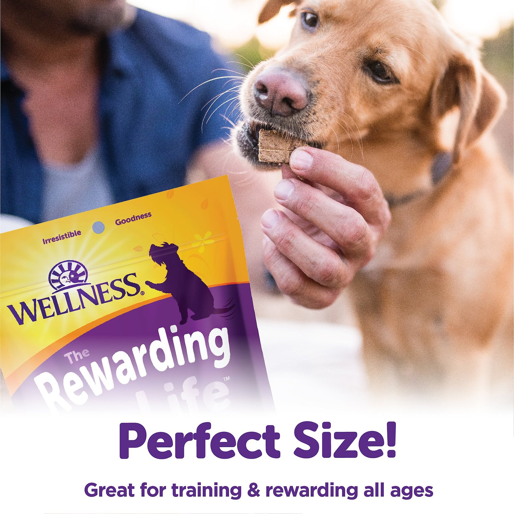 Wellness The Rewarding Life Lamb & Salmon Soft & Chewy Natural Dog Treats