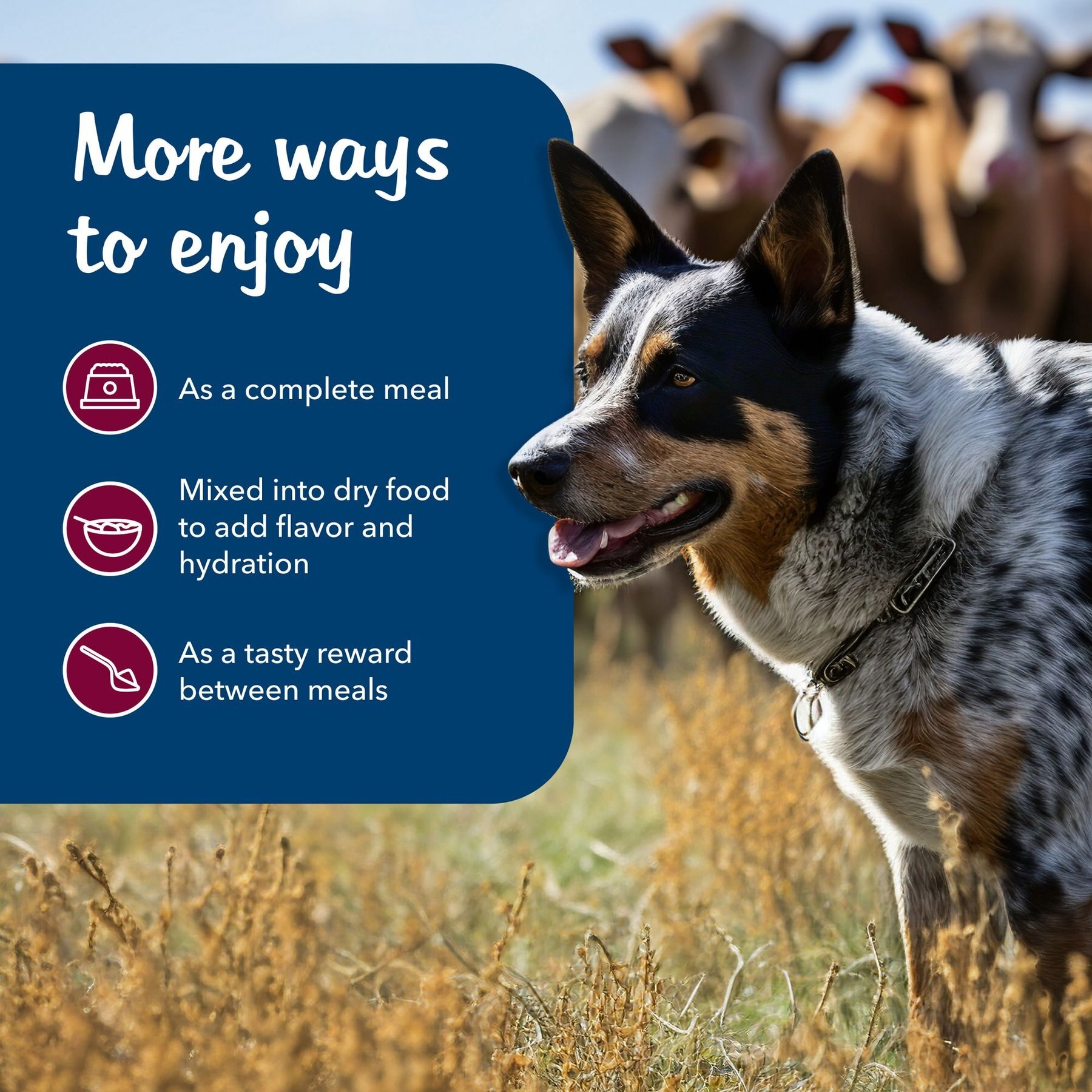 Blue Buffalo Blue's Stews Grain-Free Chicken & Beef Variety Pack Adult Wet Dog Food