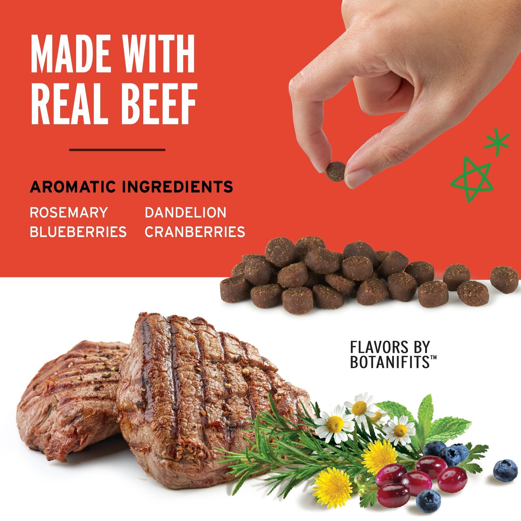 Pet Botanics Mini Training Reward Beef Flavor Dog Treats