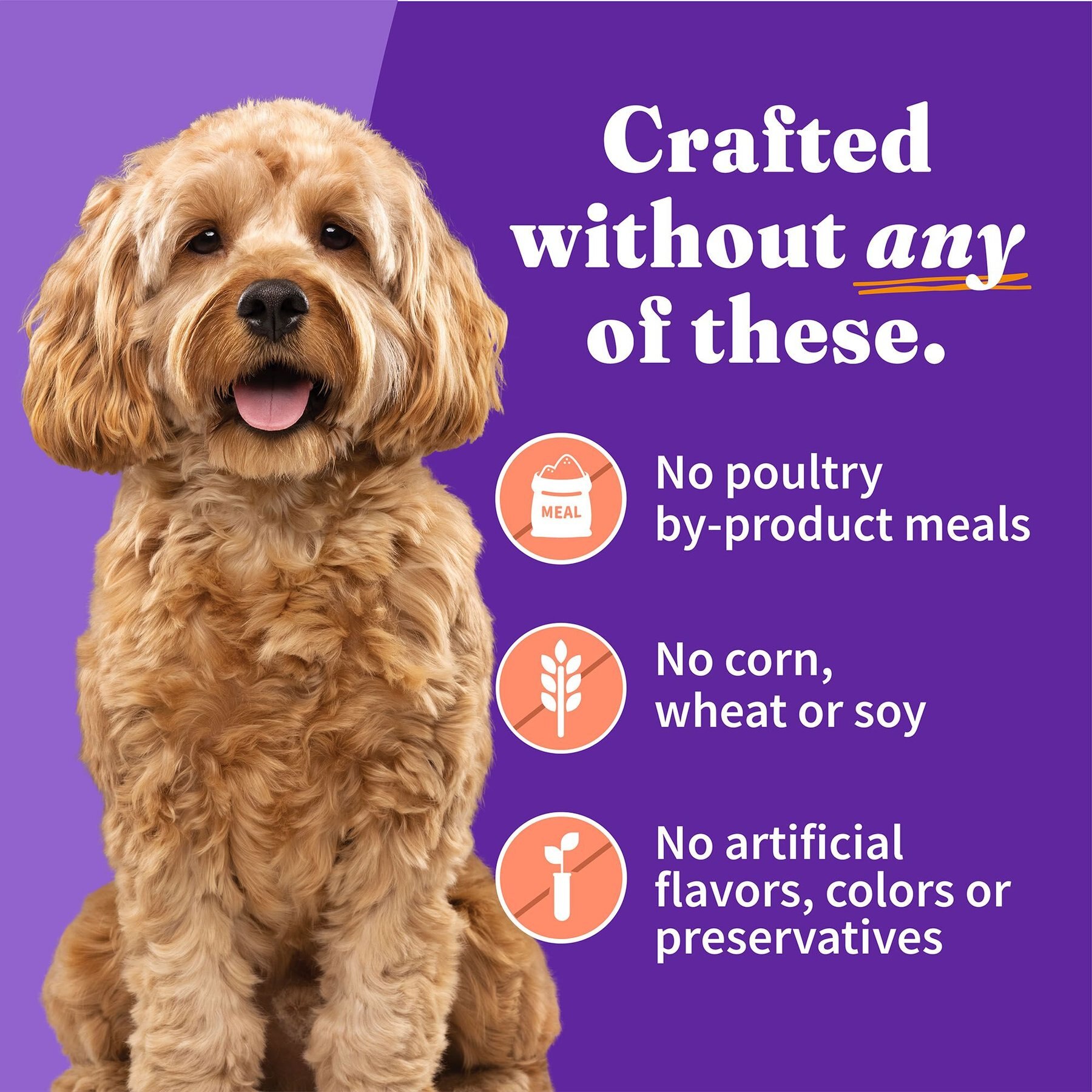 Halo Chicken & Salmon Recipe Grain-Free Small Breed Canned Dog Food