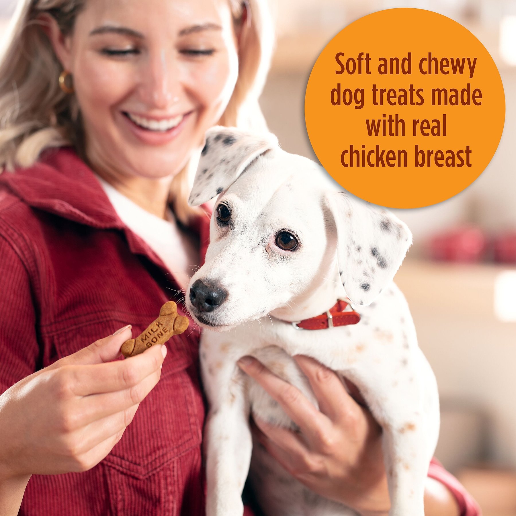 Milk-Bone Soft & Chewy Chicken Recipe Dog Treats