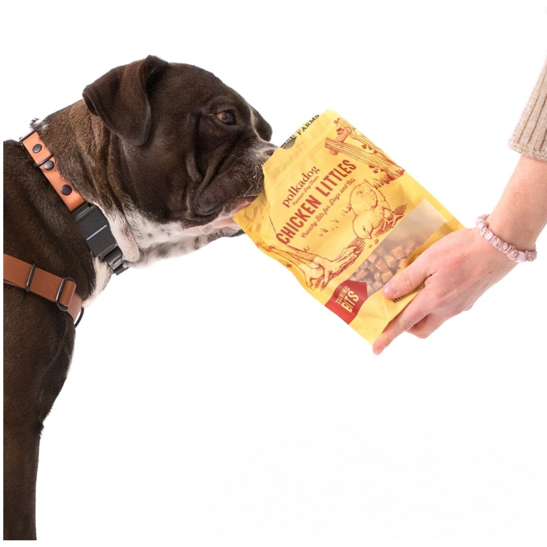 Polkadog Chicken Littles Training Bits Dehydrated Dog & Cat Treats