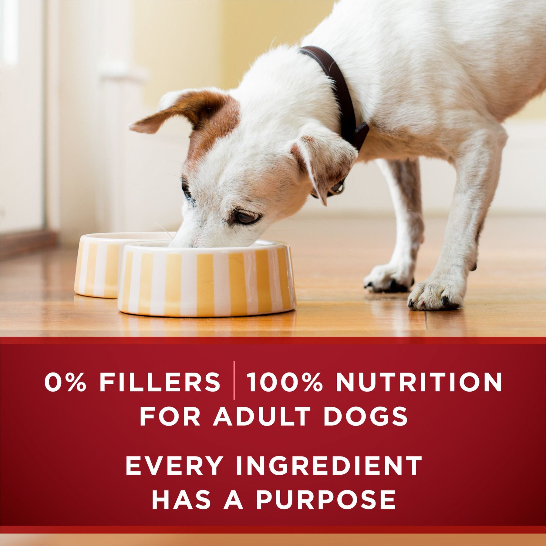 Purina ONE SmartBlend True Instinct Tender Cuts in Gravy with Real Turkey & Venison Canned Dog Food