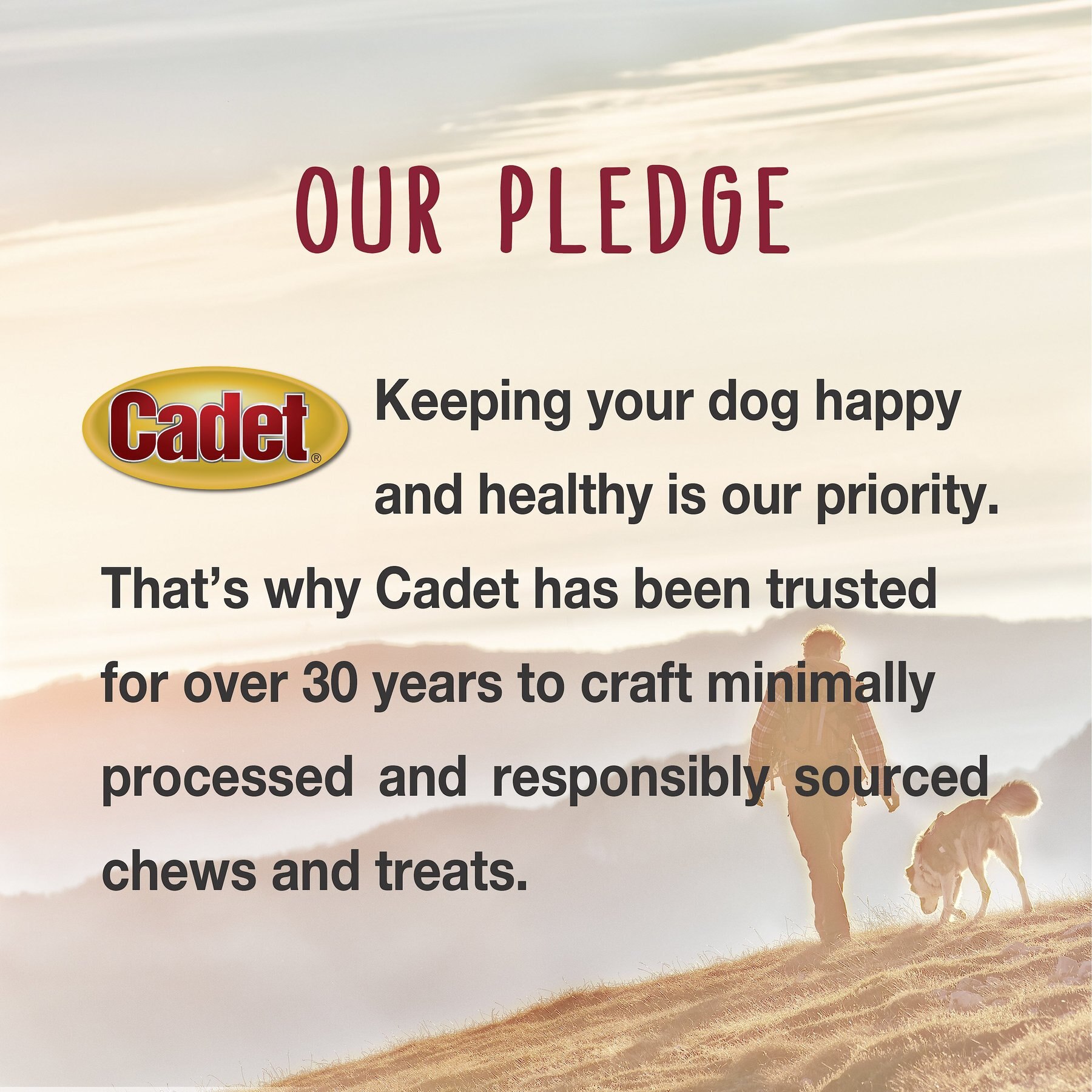 Cadet Gourmet Chicken & Apple Wrapped Dog Treats