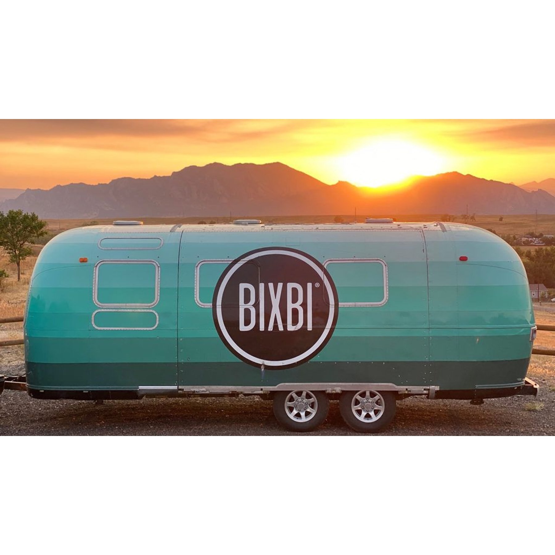 BIXBI Skin & Coat Chicken Jerky Dog Treats