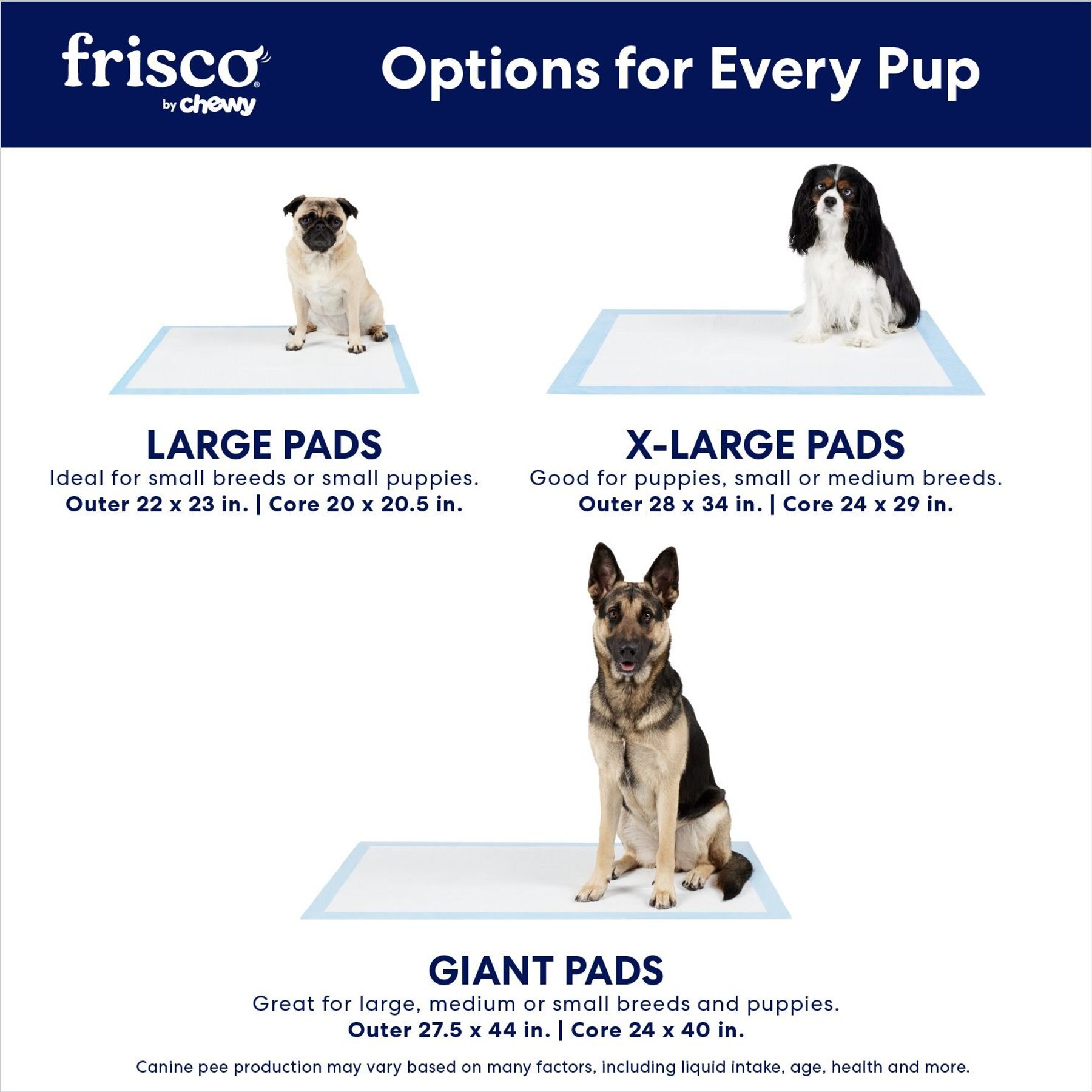 Frisco Large Premium Dog Training & Potty Pads