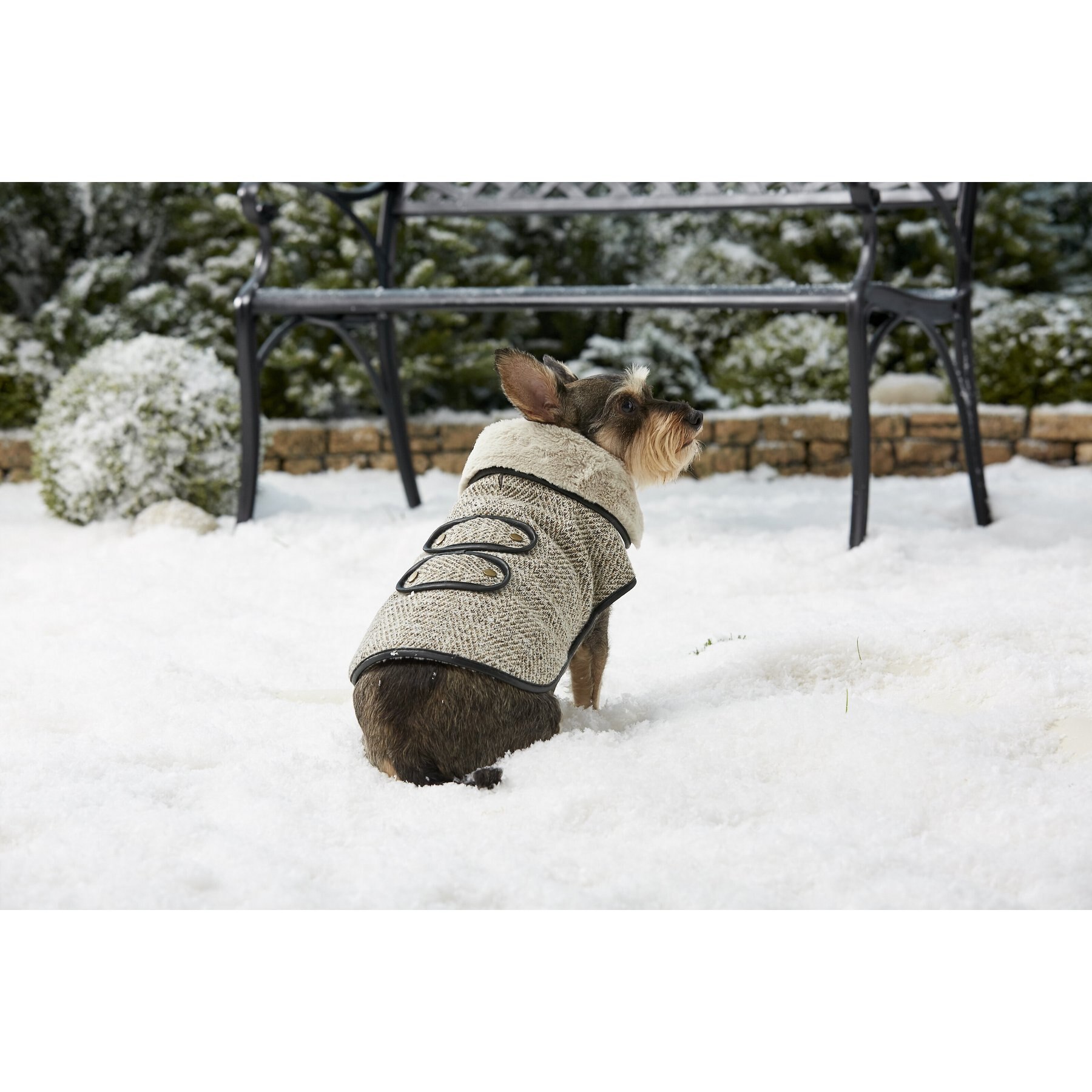 Frisco Mid-Heavyweight Manhattan Tweed Dog & Cat Coat