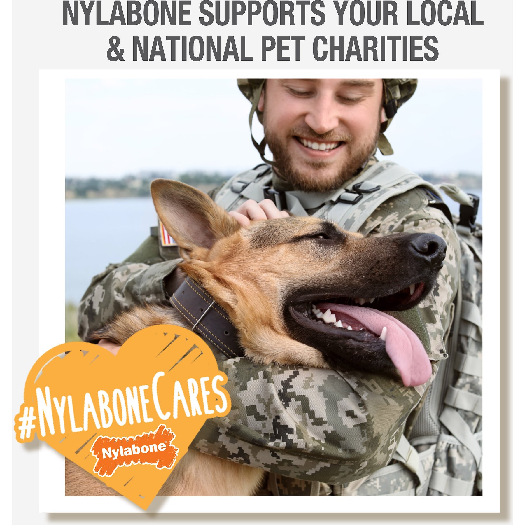 Nylabone Healthy Edibles Longer Lasting Chicken Flavor Dog Bone Treats