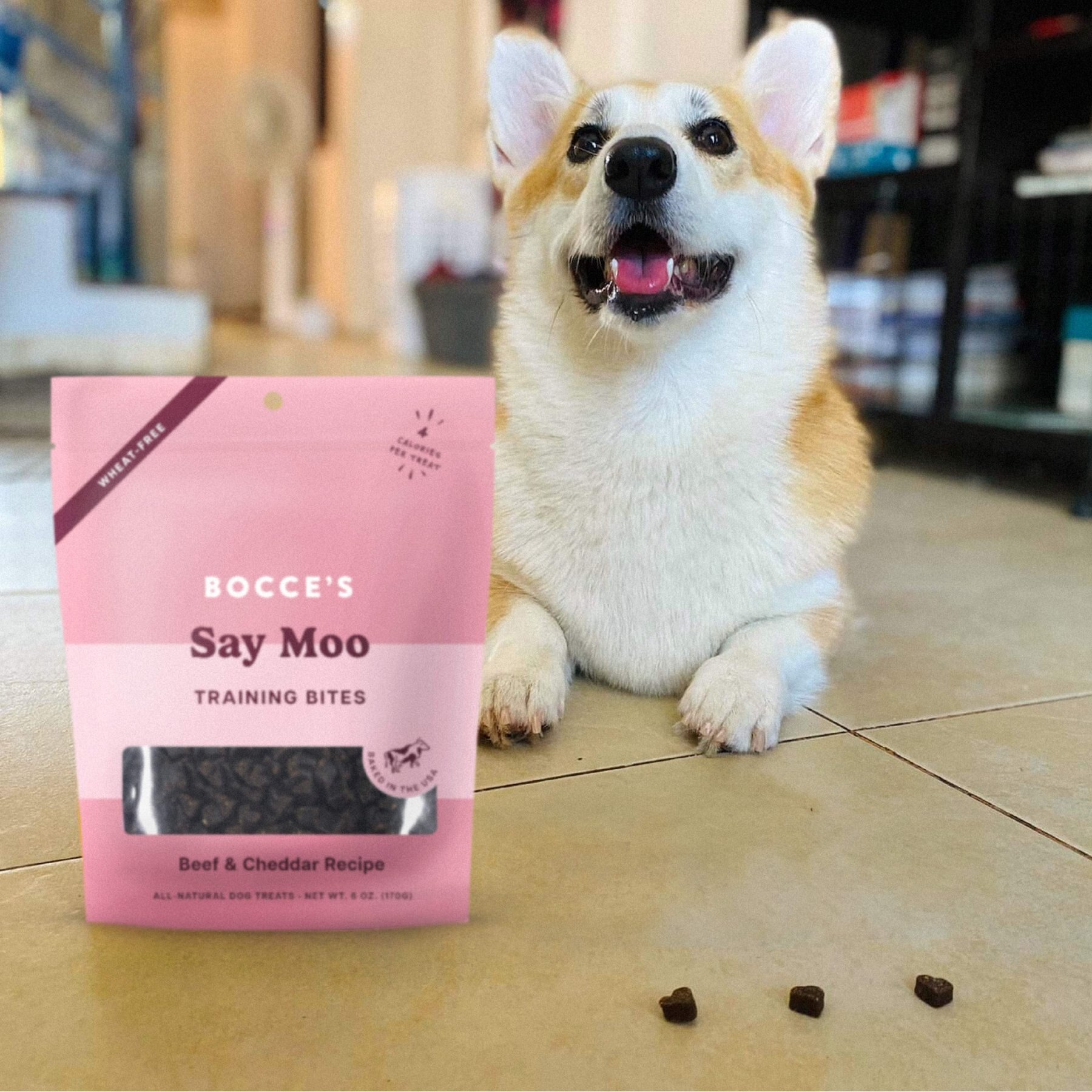 Bocce's Bakery Say Moo Beef & Cheddar Training Bites Dog Treats