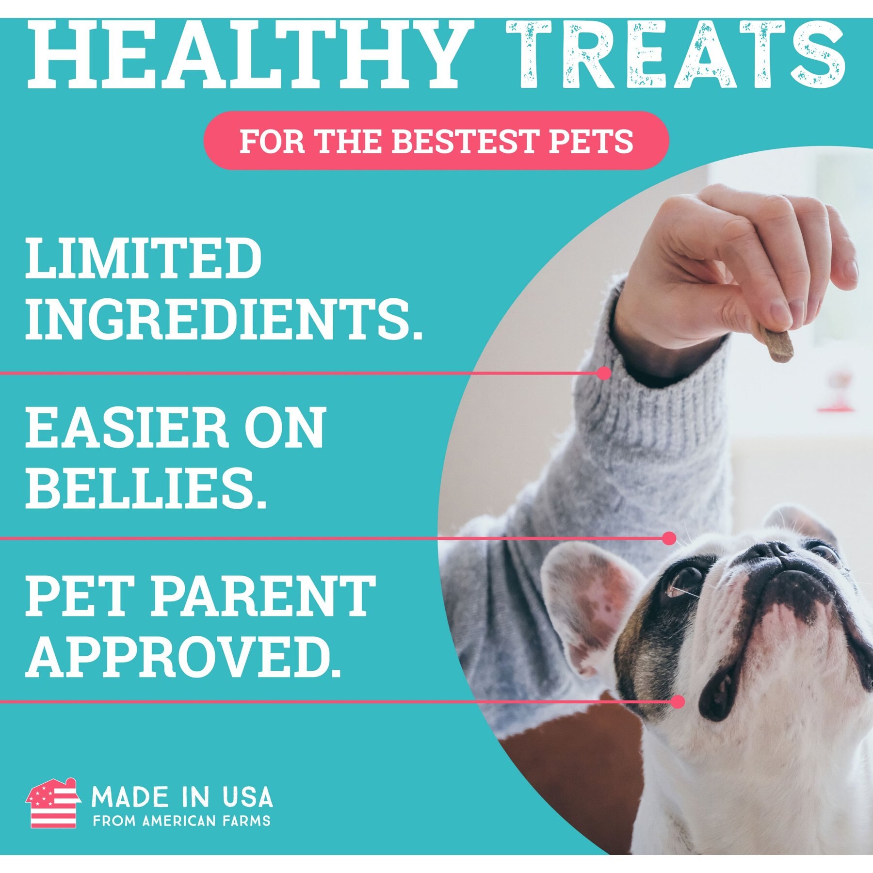 Etta Says! Sit! Bacon Recipe Soft & Chewy Training Dog Treats, 1-lb bag
