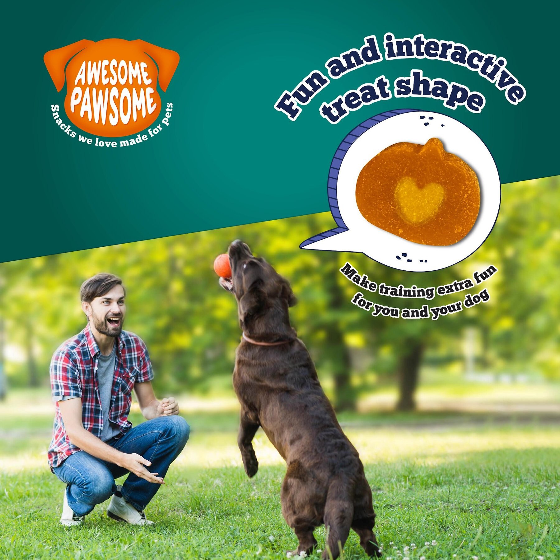 Awesome Pawsome Super Pumpkin Recipe Dog Treats, 3-oz bag