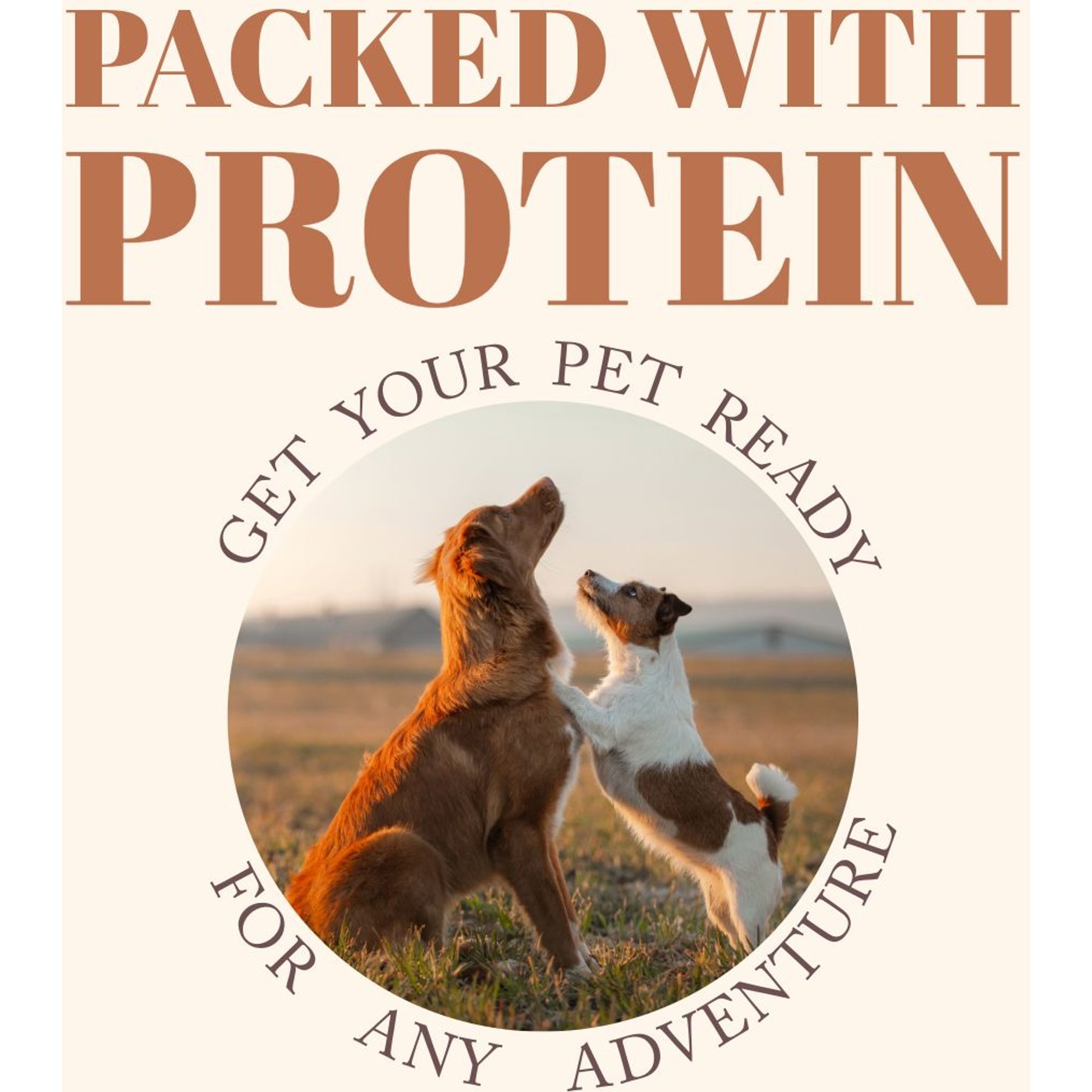Etta Says! Chew! Premium Crunchy Buffalo Recipe Grain-Free Dog Treats, 4.5-oz bag