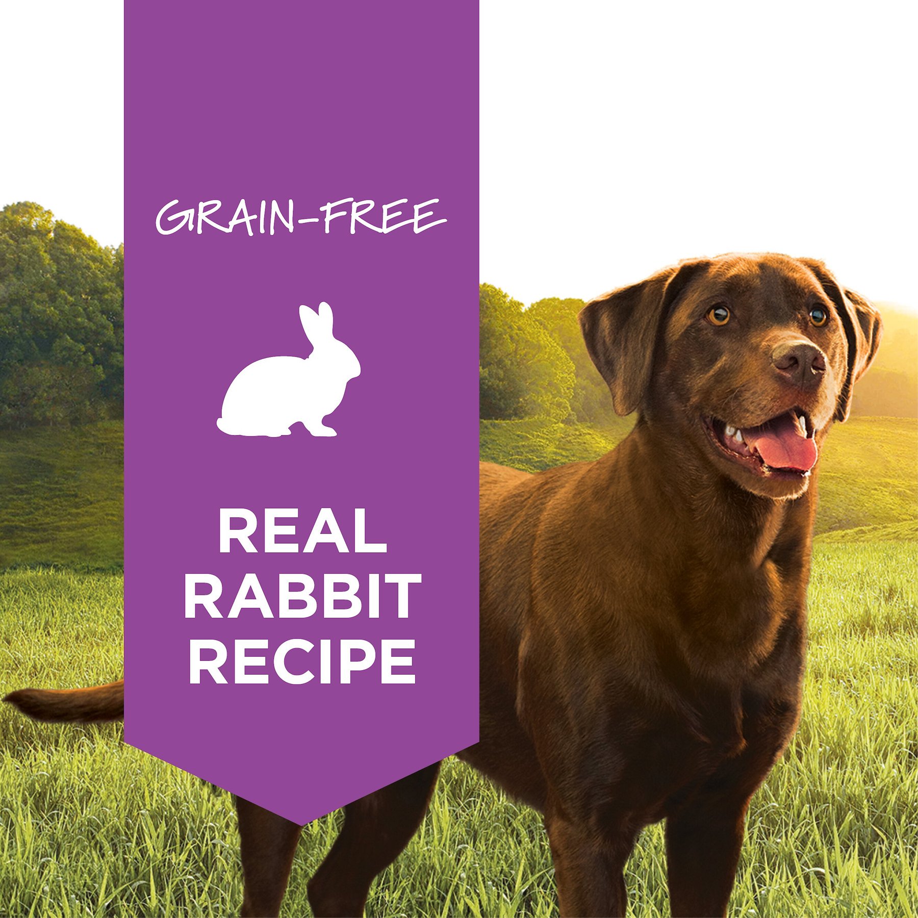 Instinct Original Adult Grain-Free Real Rabbit Recipe Wet Dog Food